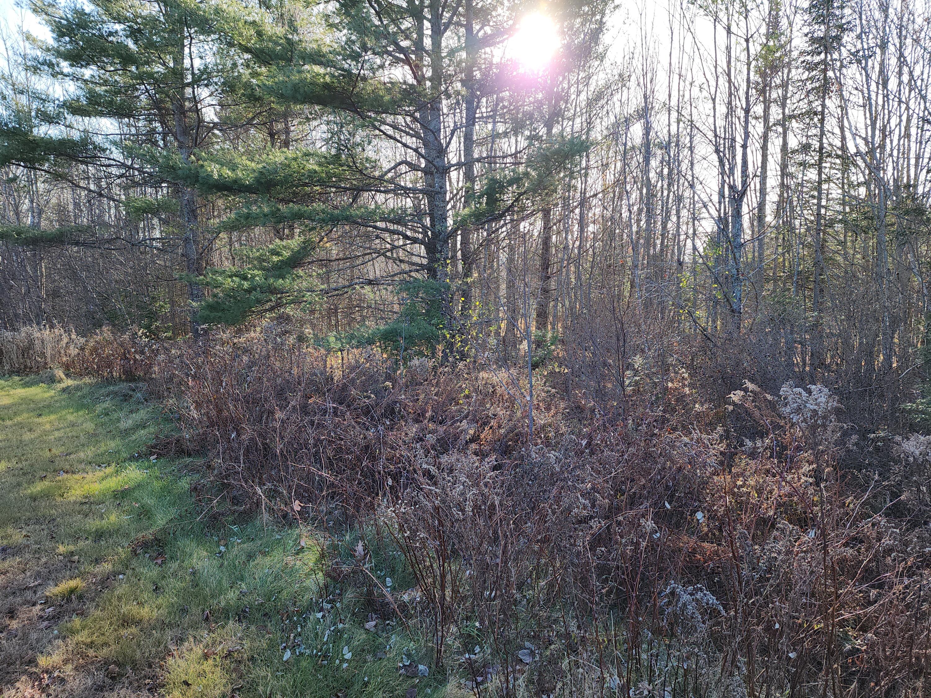 35 Trout Brook Lane, Searsport, ME, 04974