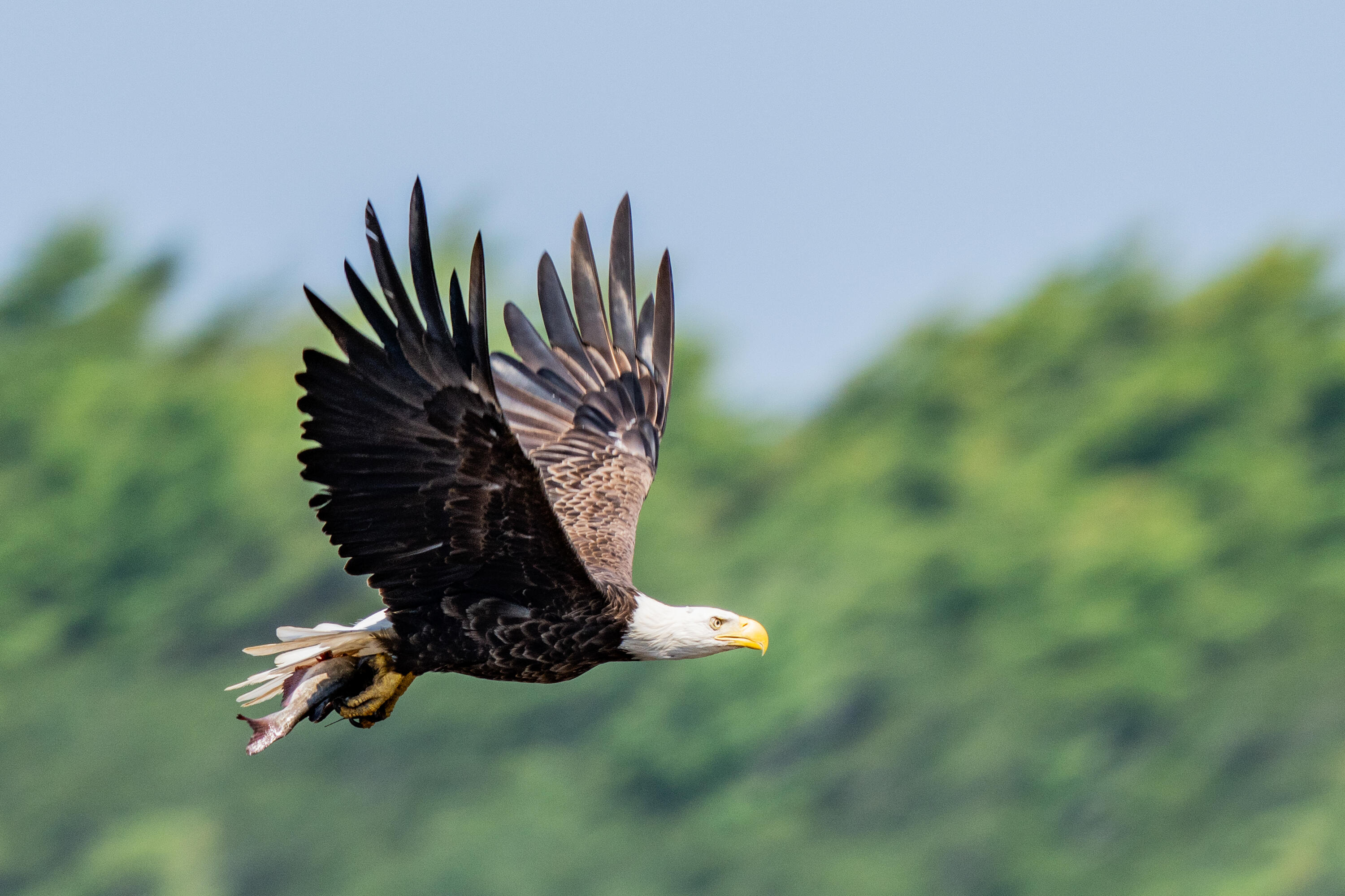 46 River Edge Drive, Woolwich, ME, 04579