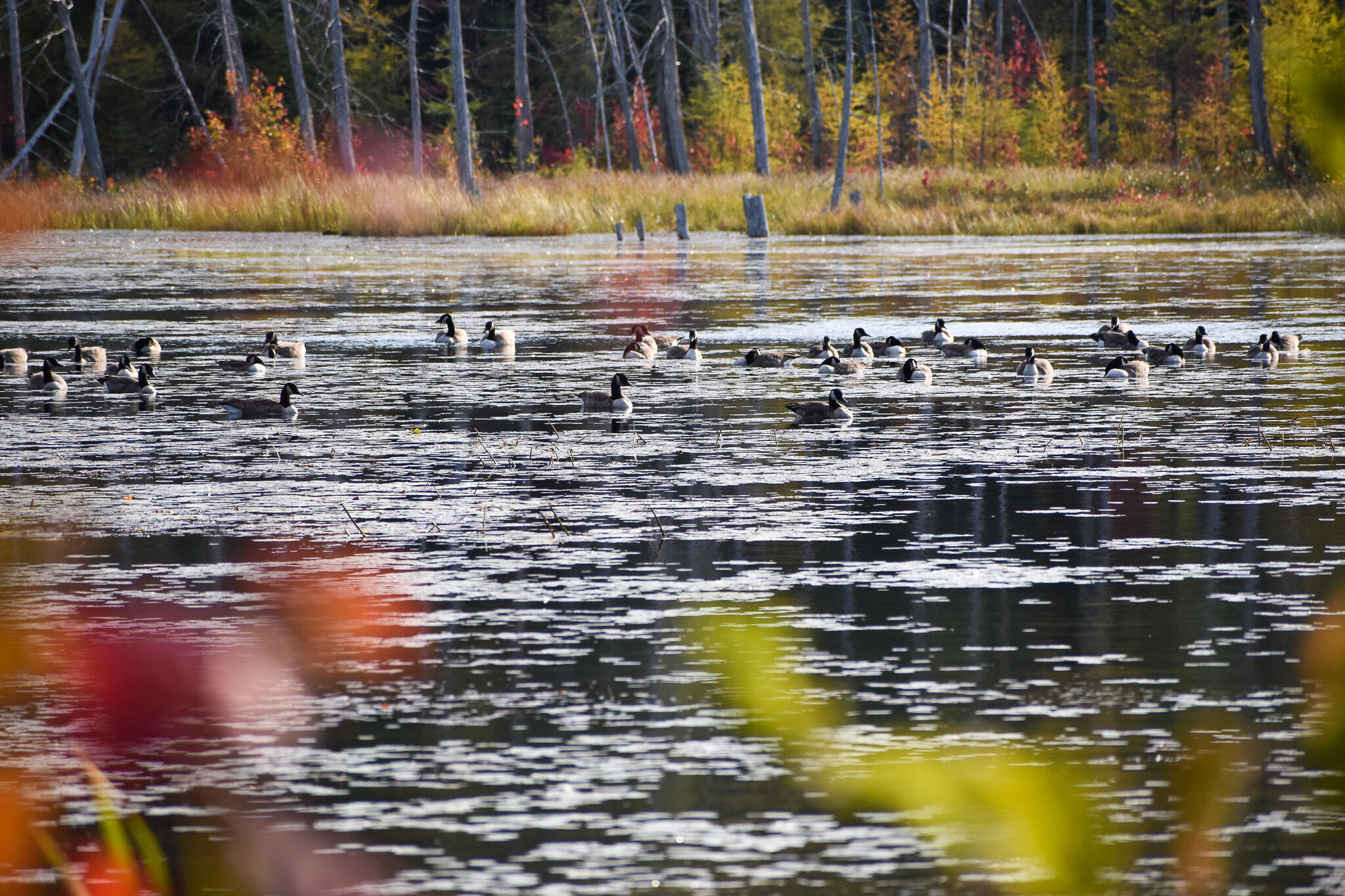 54 Carver Road, Milo, ME, 04463