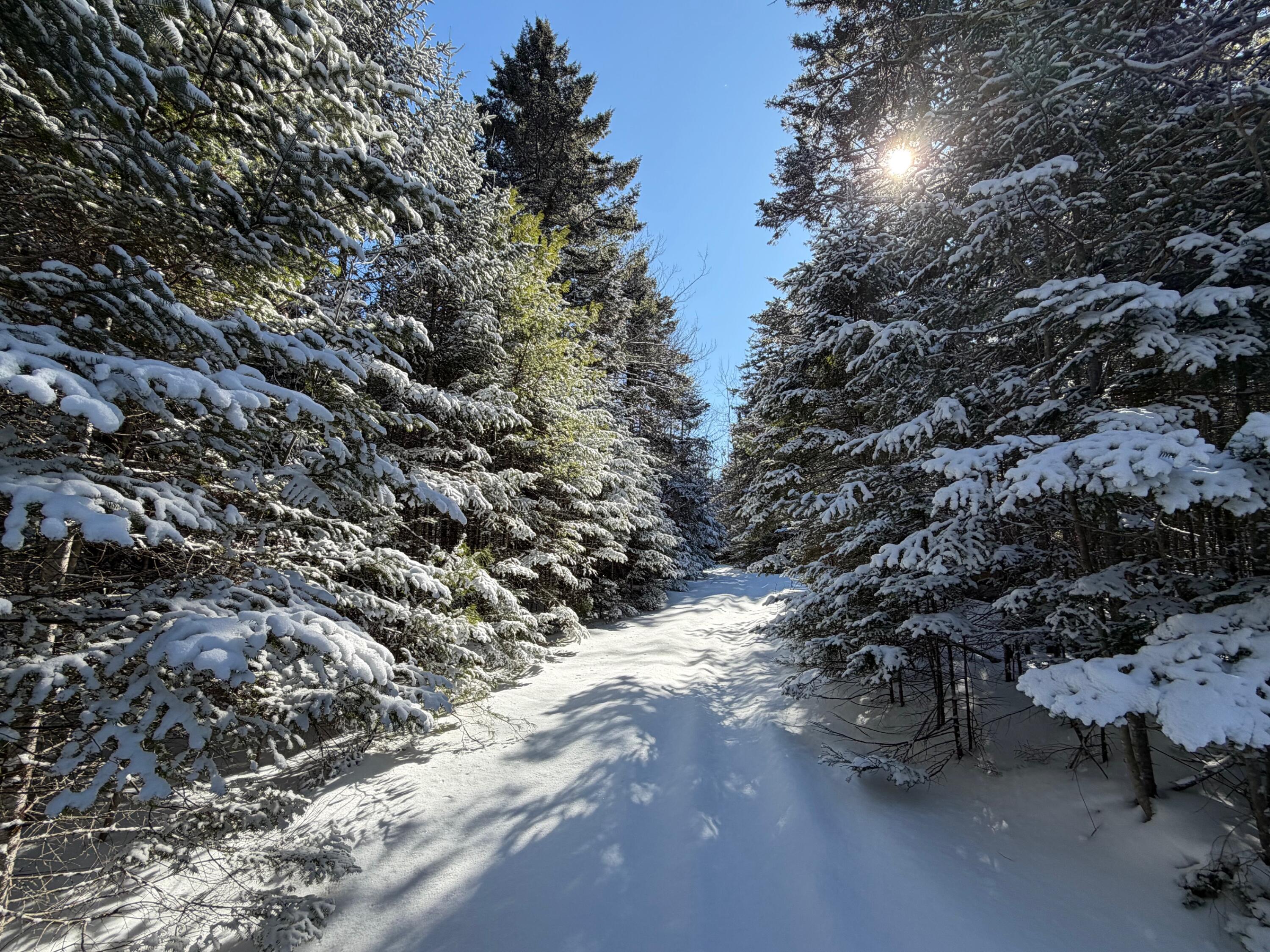 M5 Lot 1&3 East Road, Greenville, ME, 04441