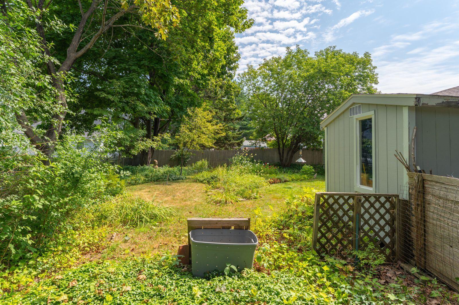 1 Katherine back yard