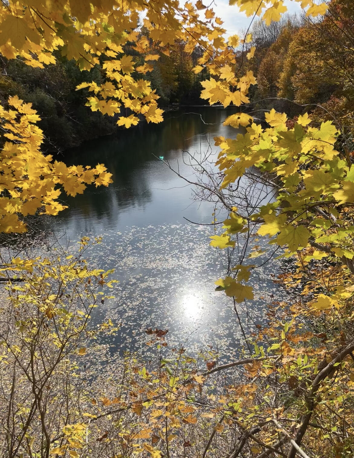 Homes for Sale in Rockland, ME – Art, Coastline, and Real Estate