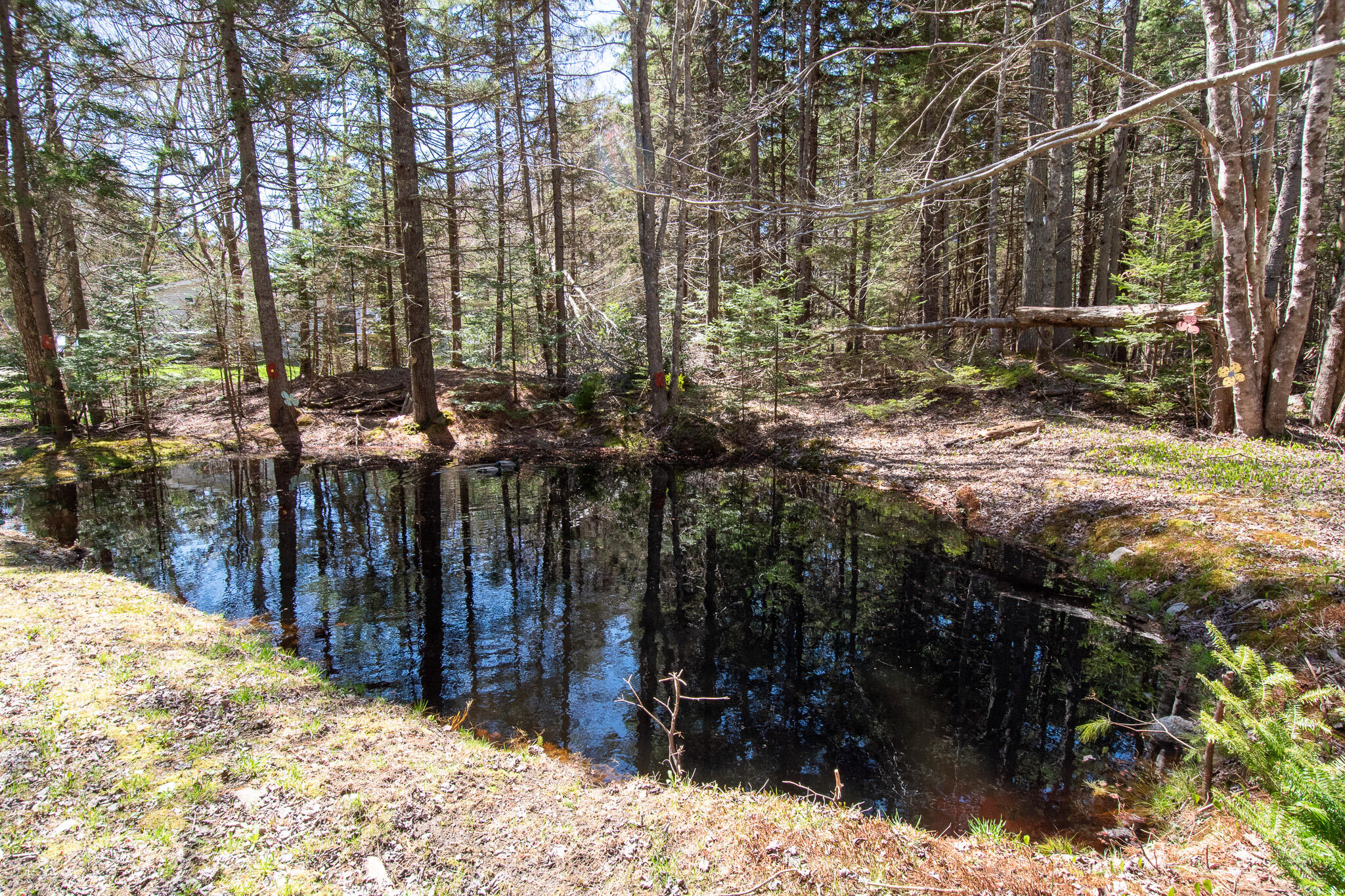 14 Pinkie Lane, Southport, ME, 04576