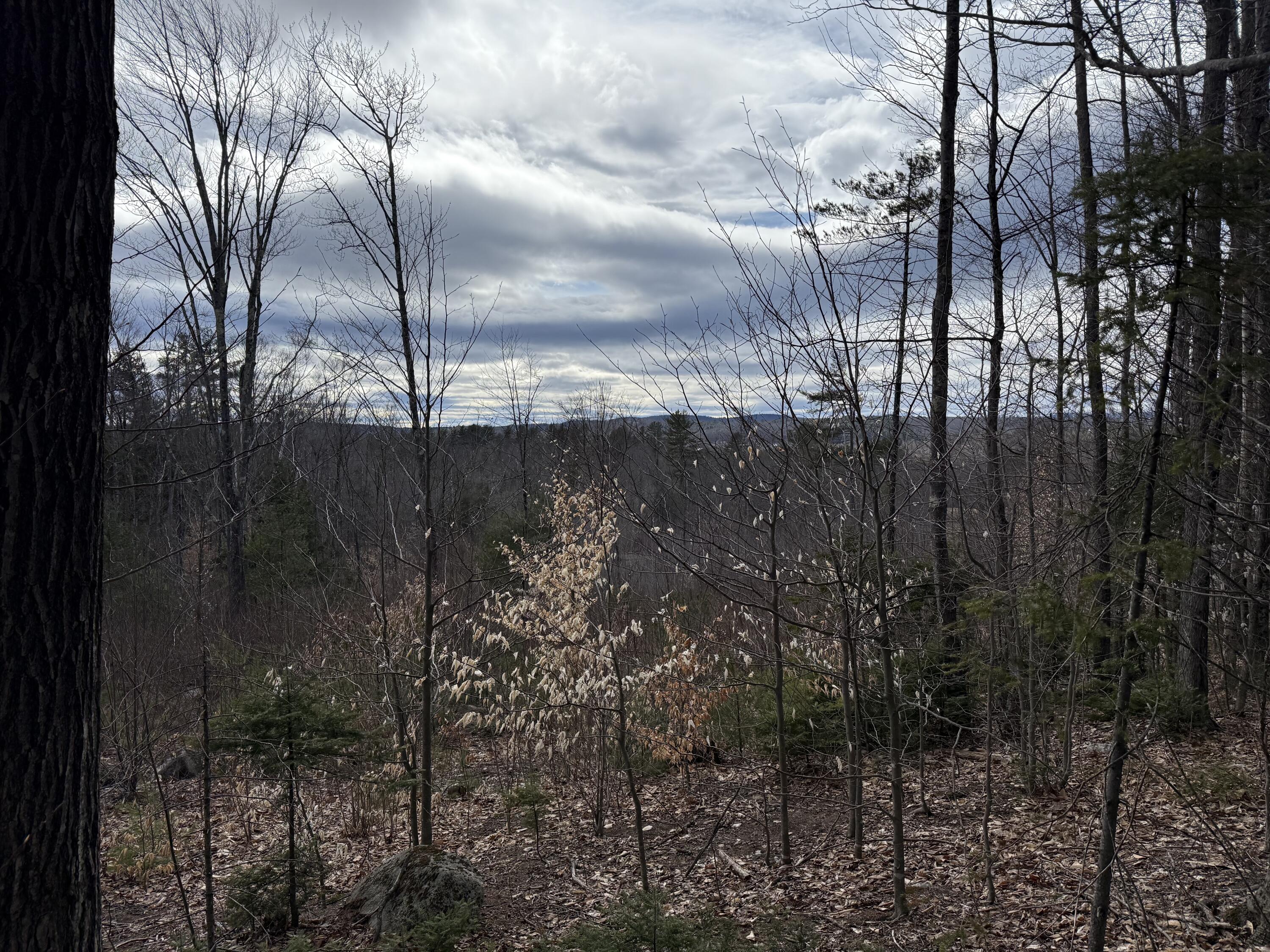 Lot UNIT&nbsp;3 Moose Hill Road, Livermore Falls, ME, 04254