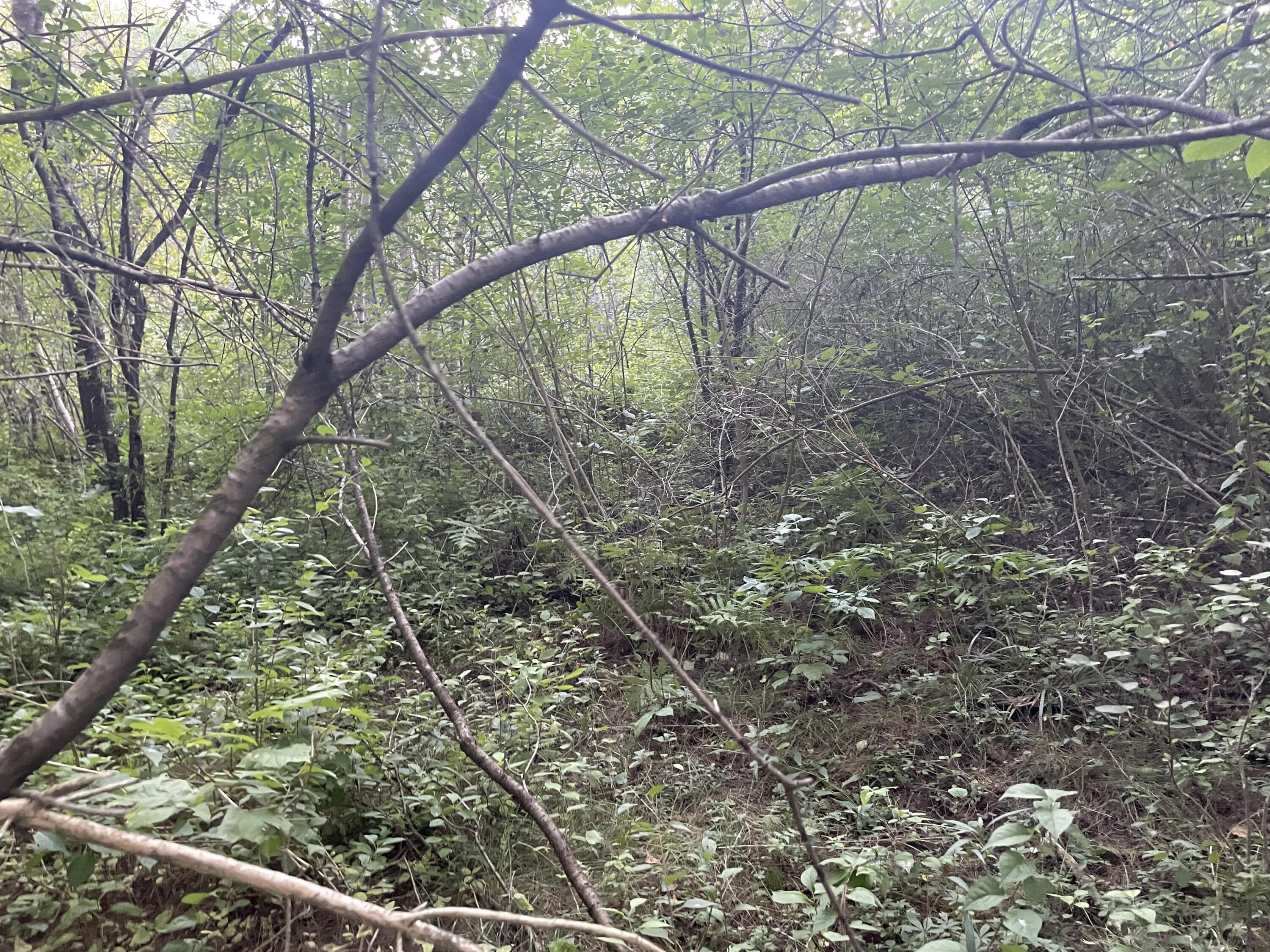 0 Cross Street, Manchester, ME, 04351