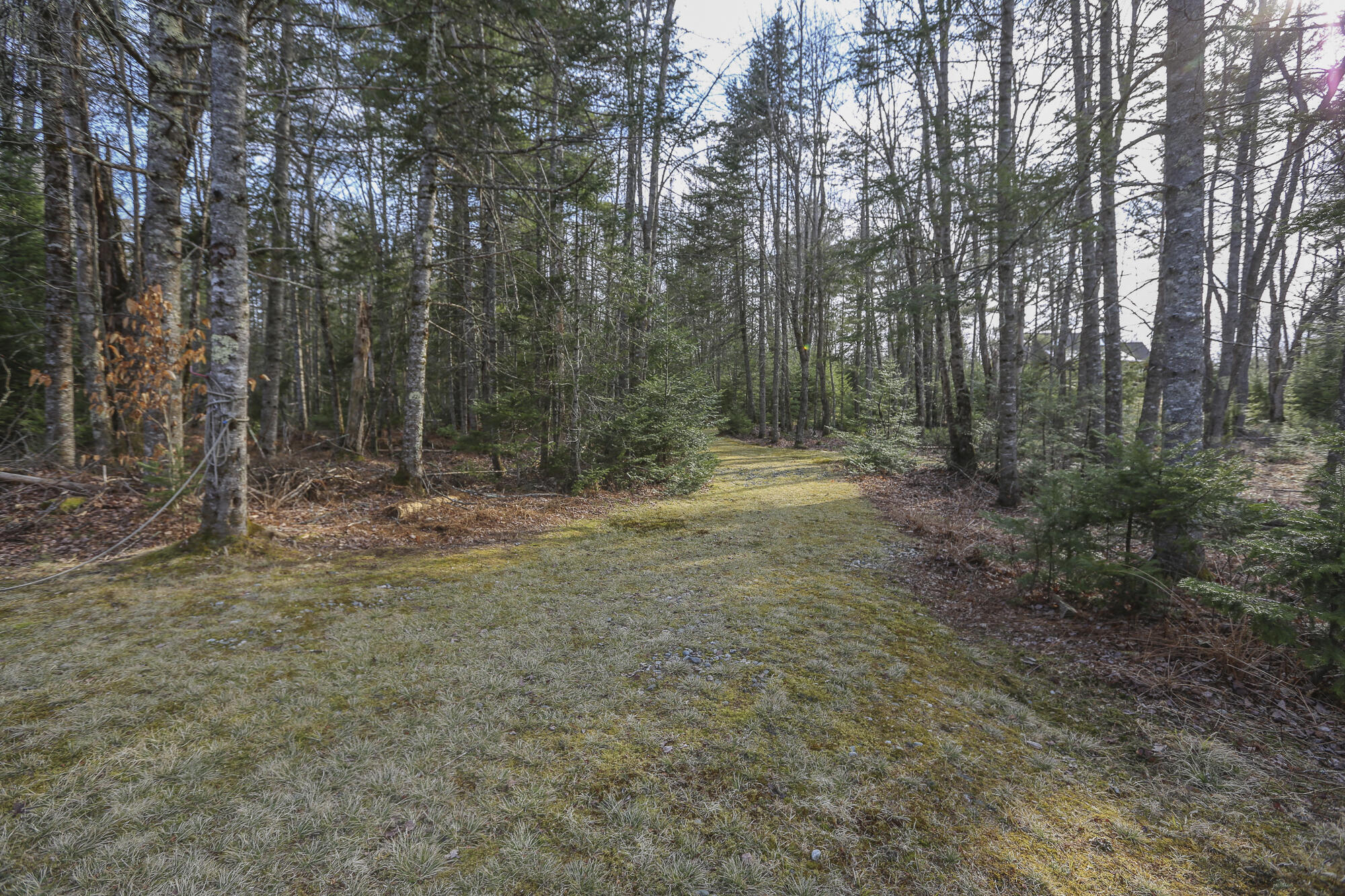 196 Woodmans Mill Road, Searsmont, ME, 04973