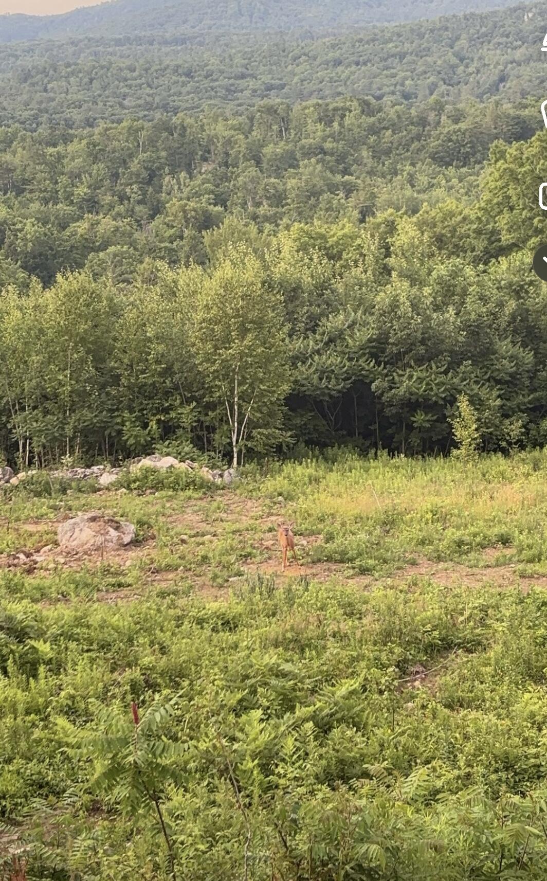 1882 North Road, Cornish, ME, 04020