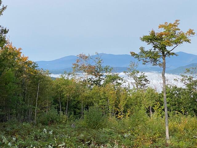 105 Mine Road UNIT Lot 8, Stoneham, ME, 04231