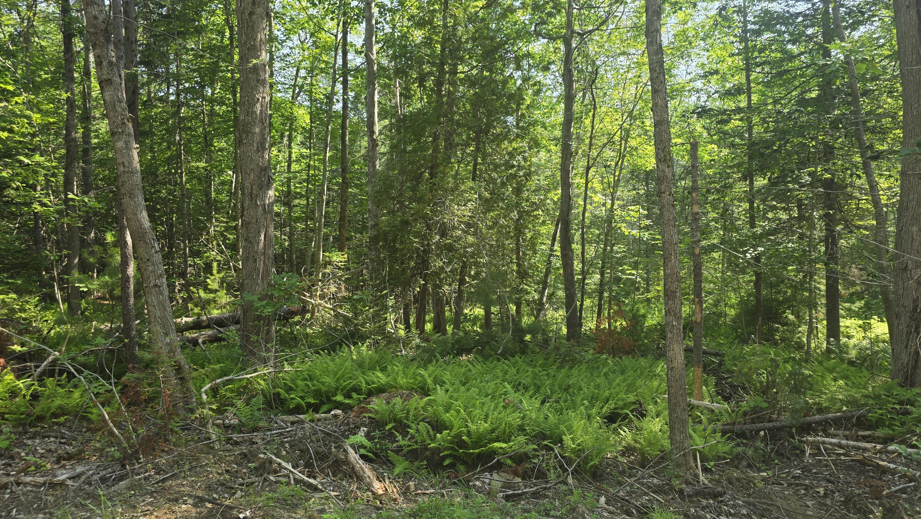 Lot 58 Camden Road, Lincolnville, ME, 04849