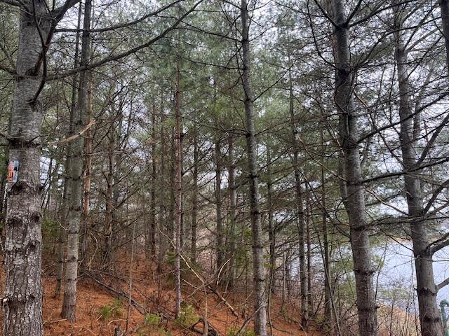 58 & 60 Pondview Street, Limestone, ME, 04750