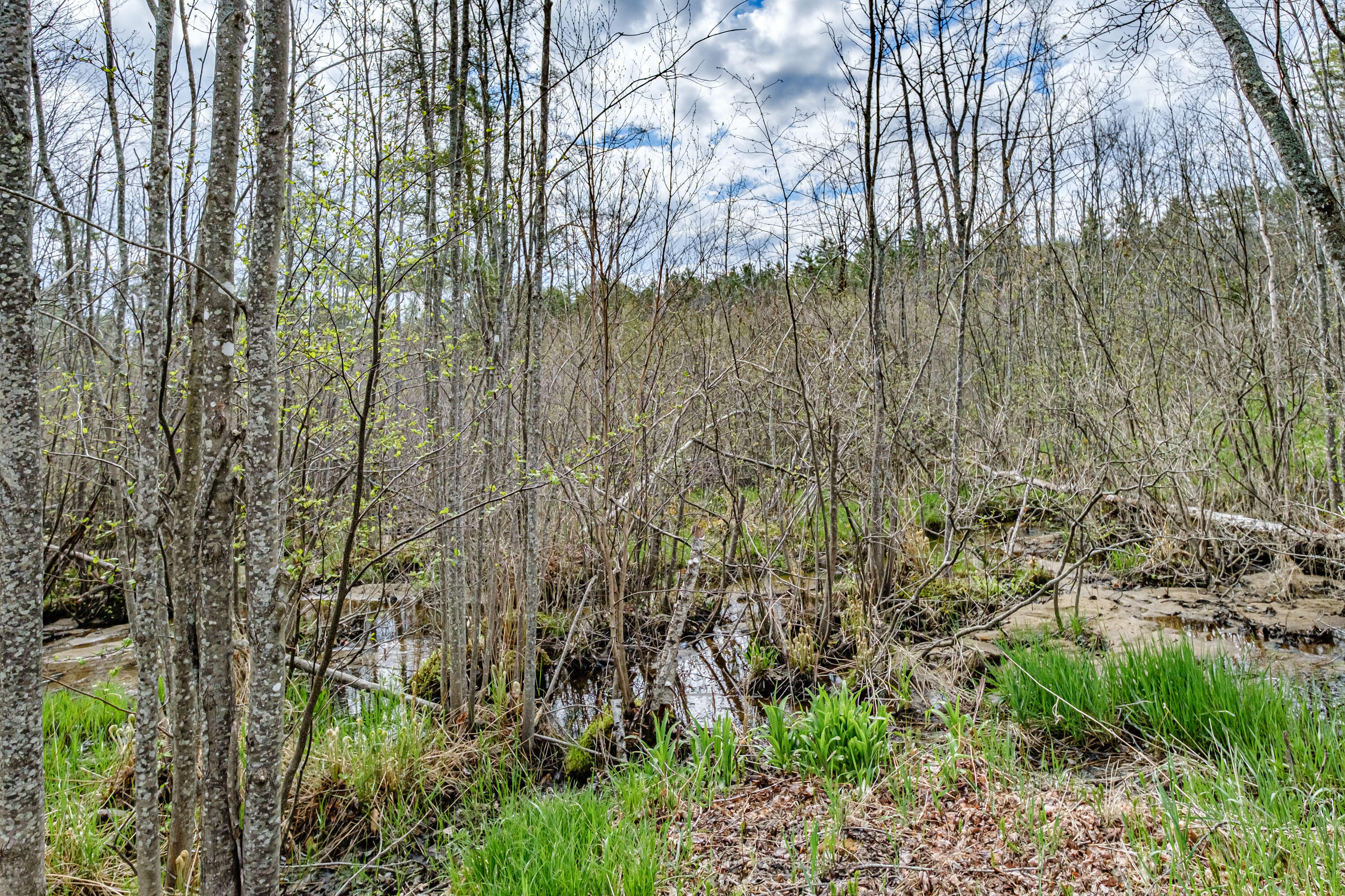 20 Bell Lane, Greenwood, ME, 04255