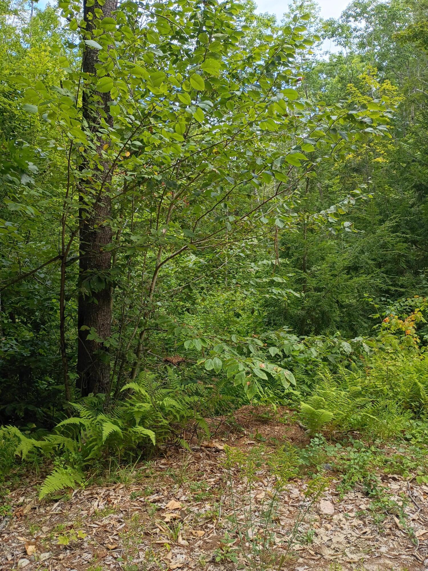 R13/038 Weeks Road, Parsonsfield, ME, 04047