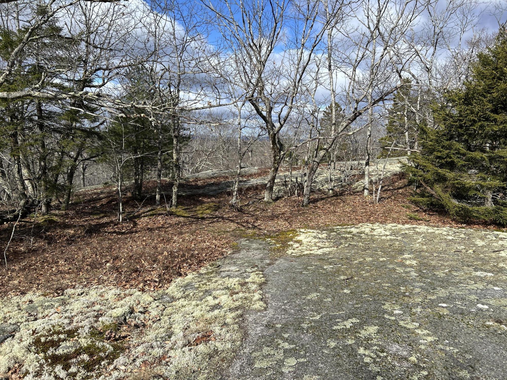 Lot 20-5-1 Collins Cove Road, Machiasport, ME, 04655