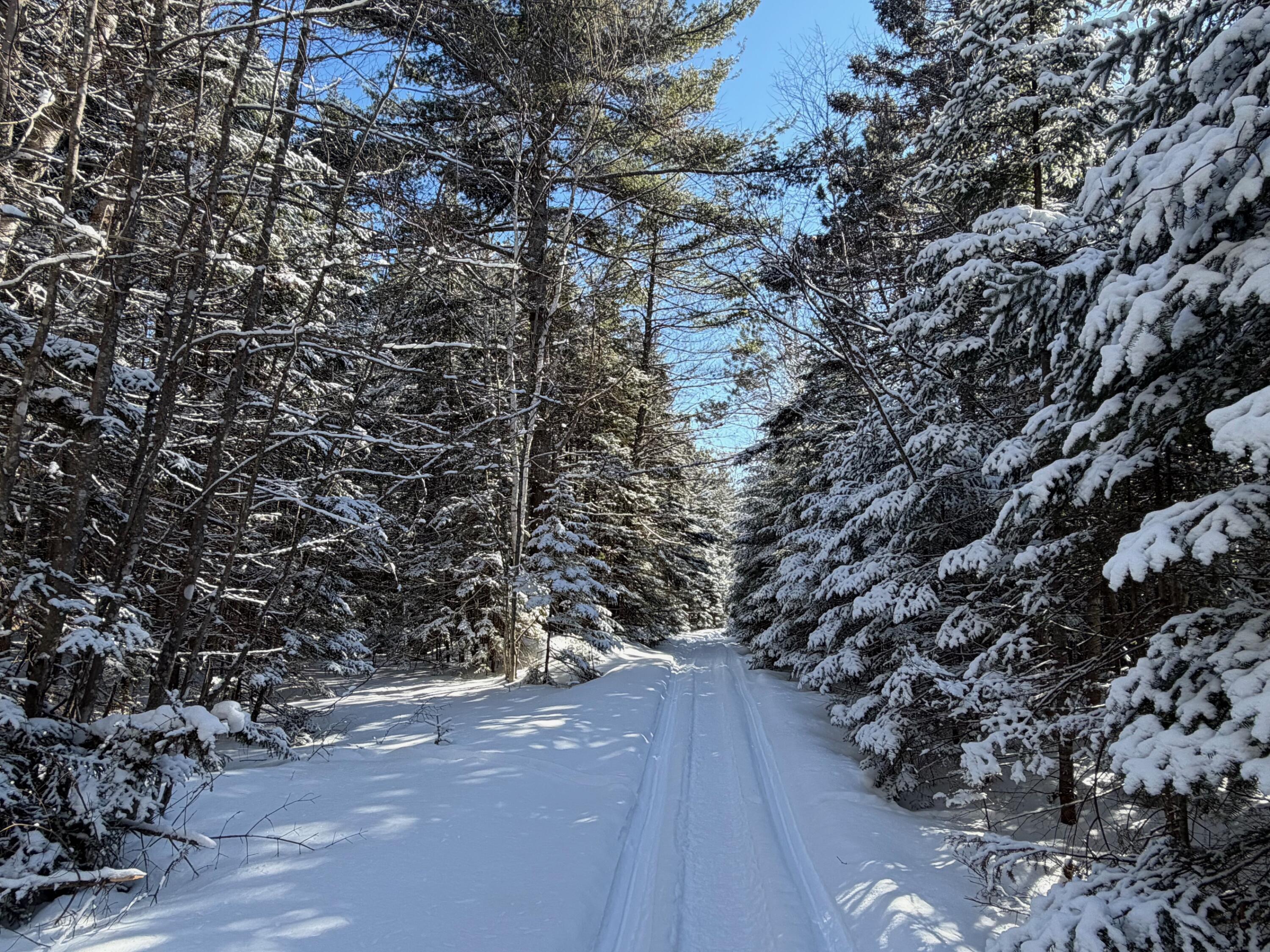 M5 Lot 1&3 East Road, Greenville, ME, 04441