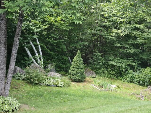 39.2 back of woods landscaping