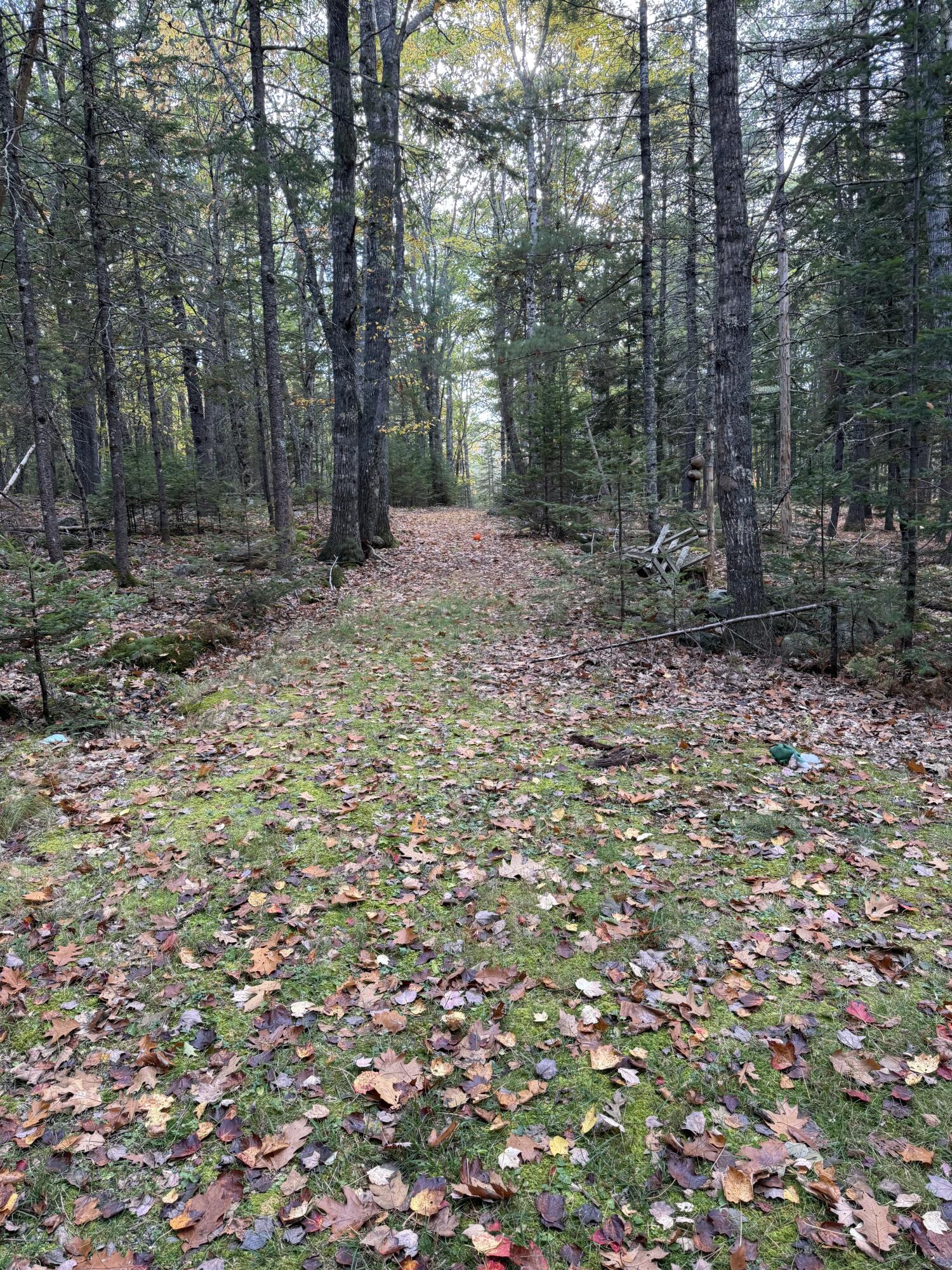 63-3 Oak Grove Road, Mount Desert, ME, 04660