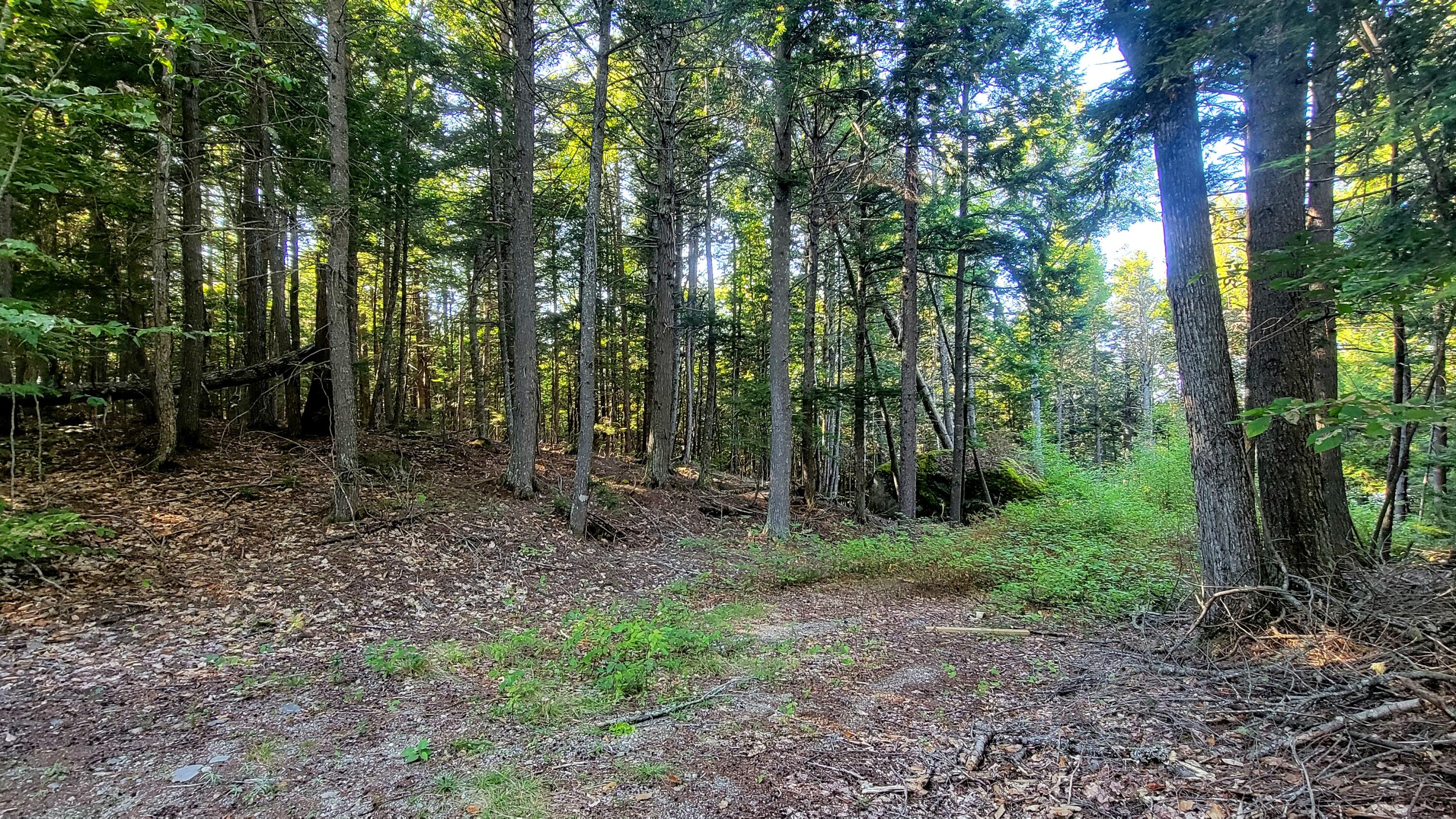 T1R8 WELS Millinocket Lake, Millinocket, ME, 04462