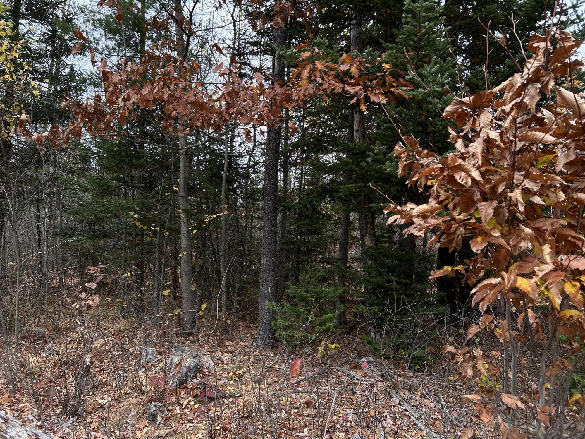 M4L18 Bog Road, Jackson, ME, 04921