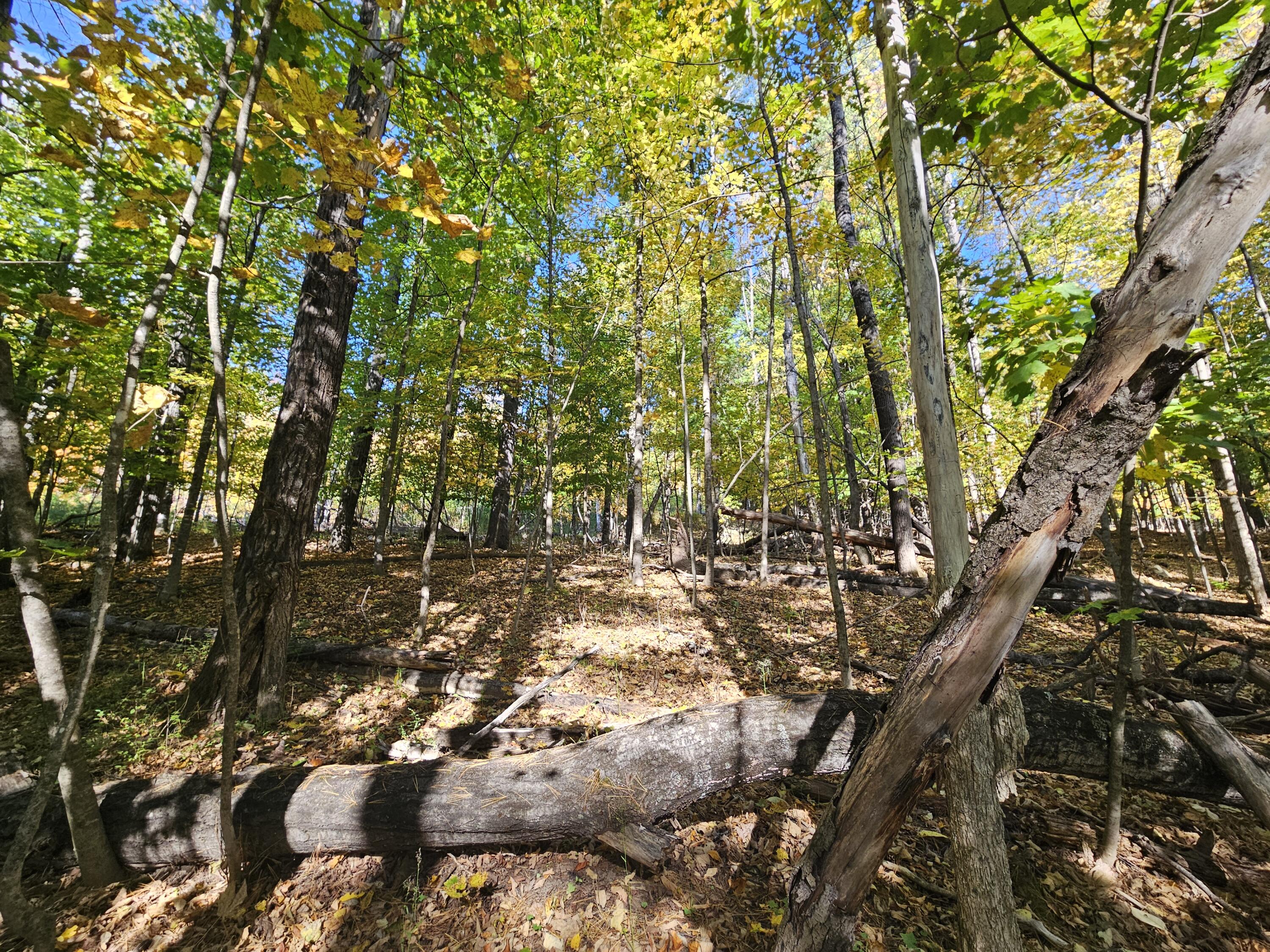 R-5 13-A Norton Hill Road, Strong, ME, 04983