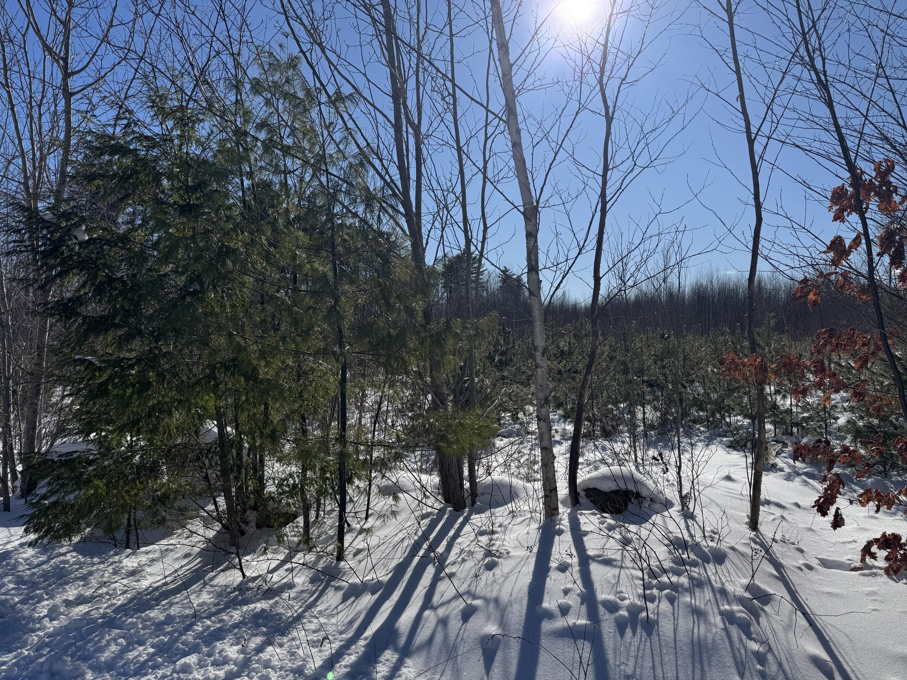 Lot 29-3 Seaward Mills Road, Vassalboro, ME, 04989