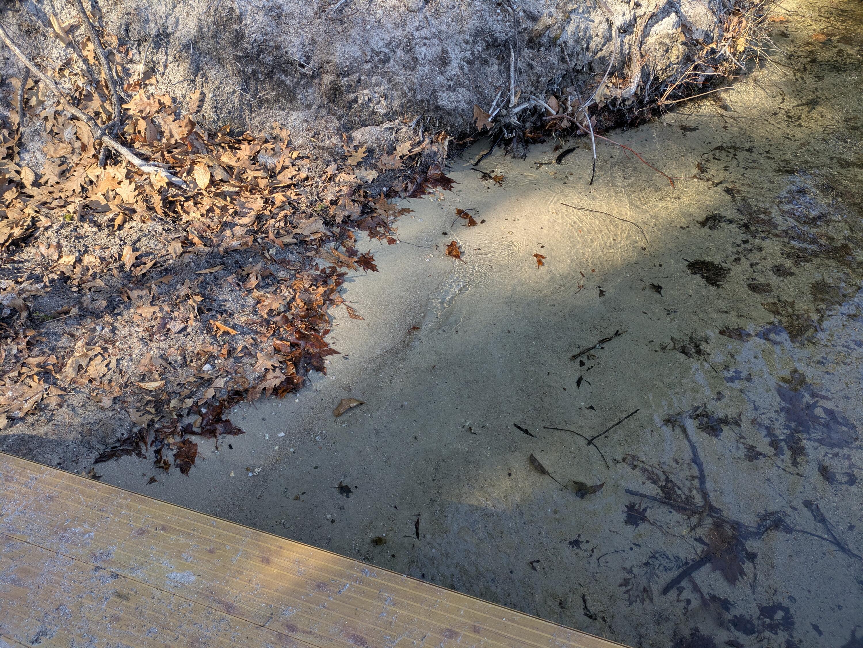 15 Daylilly Lane, Limington, ME, 04049