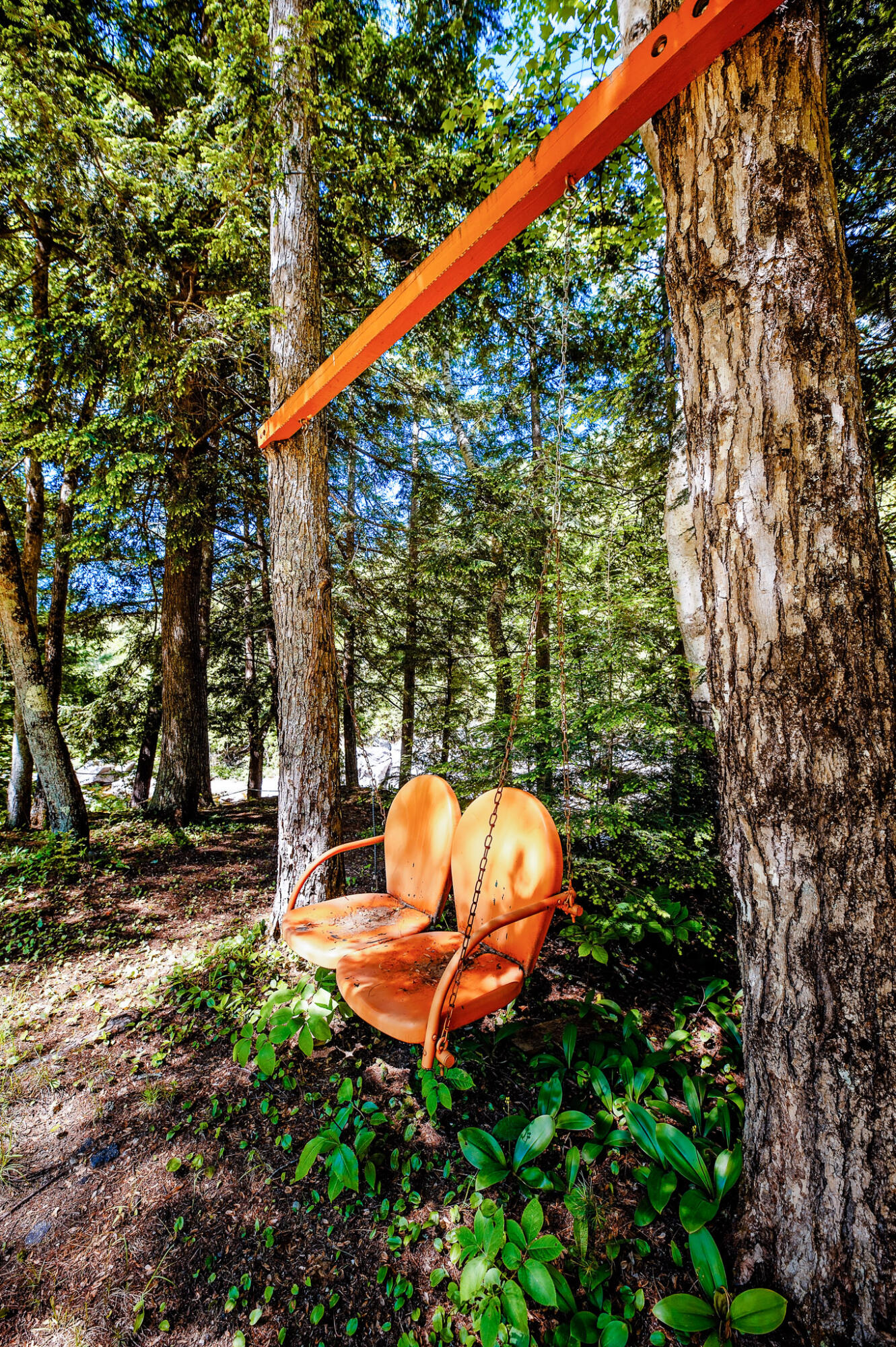 1574 Roxbury Road, Roxbury, ME 04275 Swing in the Backyard
