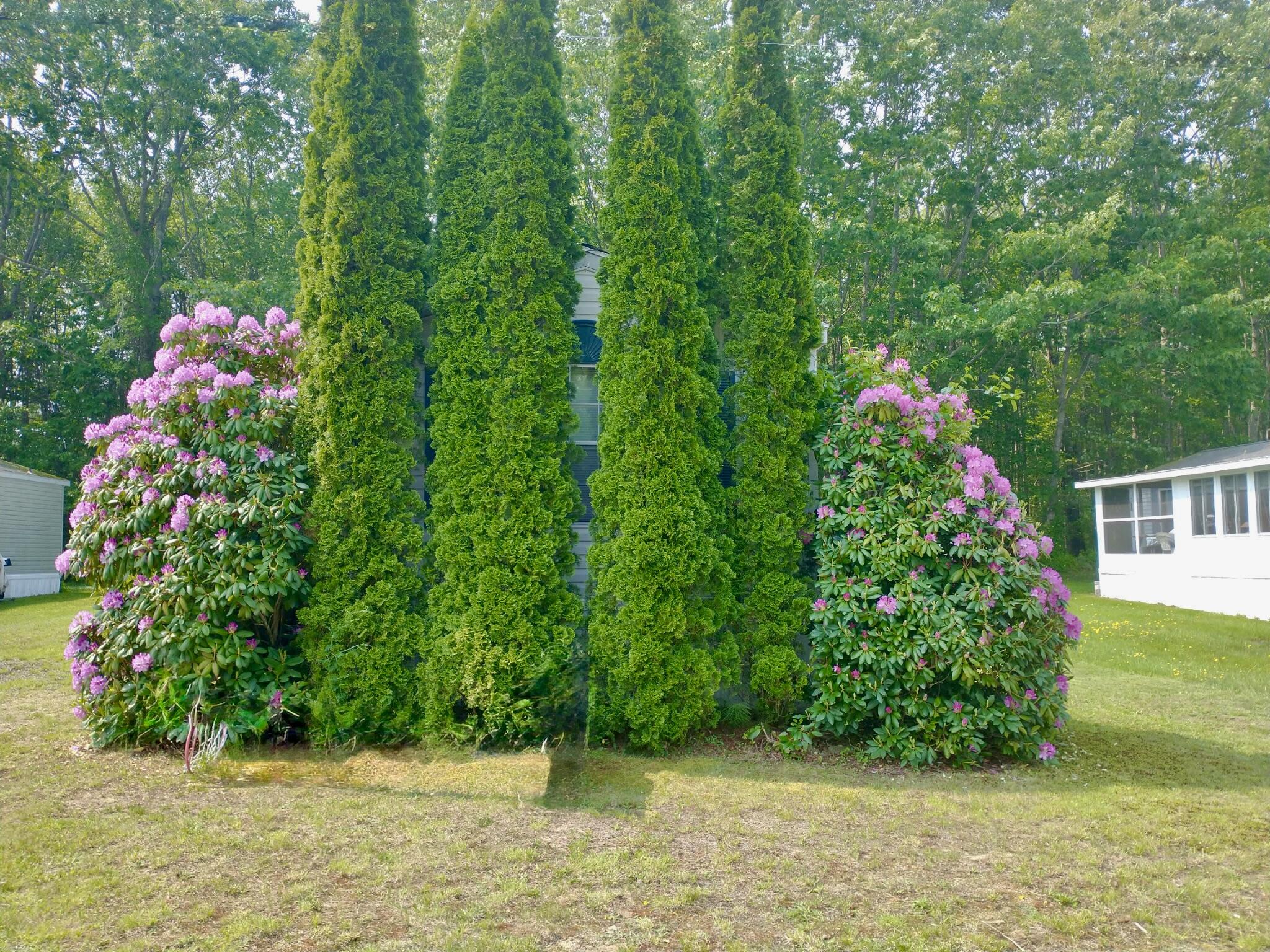 68 Poplar Park Drive, Wells, ME, 04090