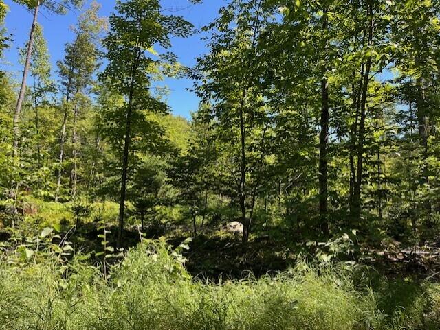 Lot 045 Sawyer Notch Road, Andover, ME, 04216