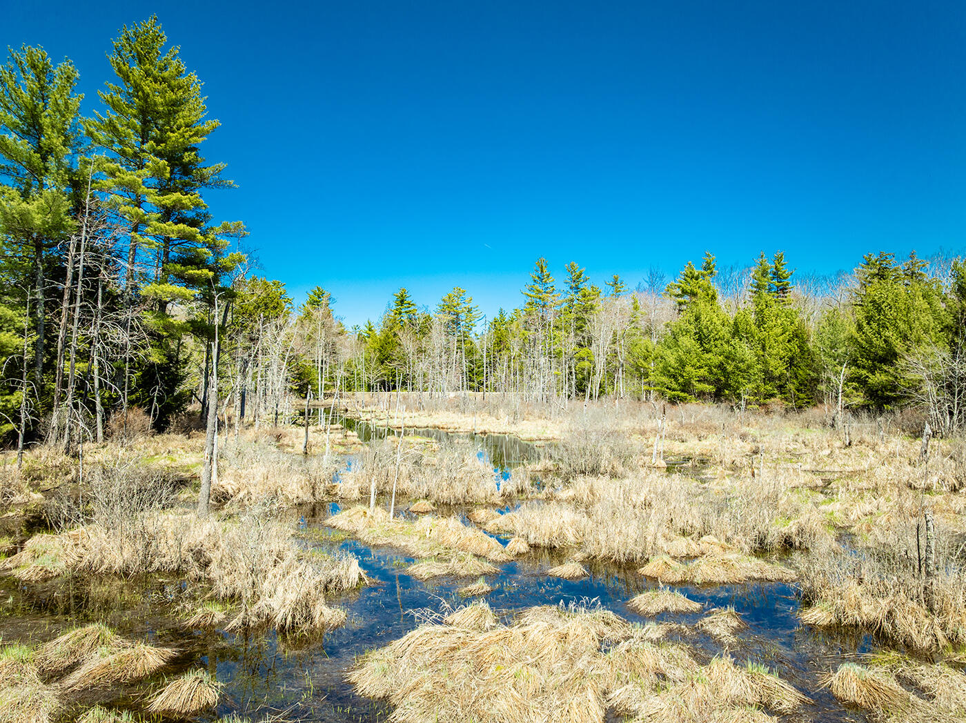 Map2 Lot21 Howes Cove Road, Liberty, ME, 04949