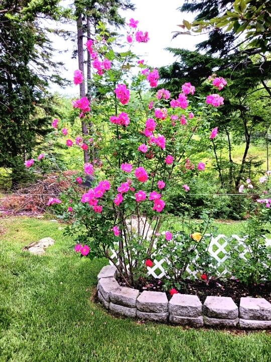 121 Northern Neck Road, Mount Desert, ME, 04660