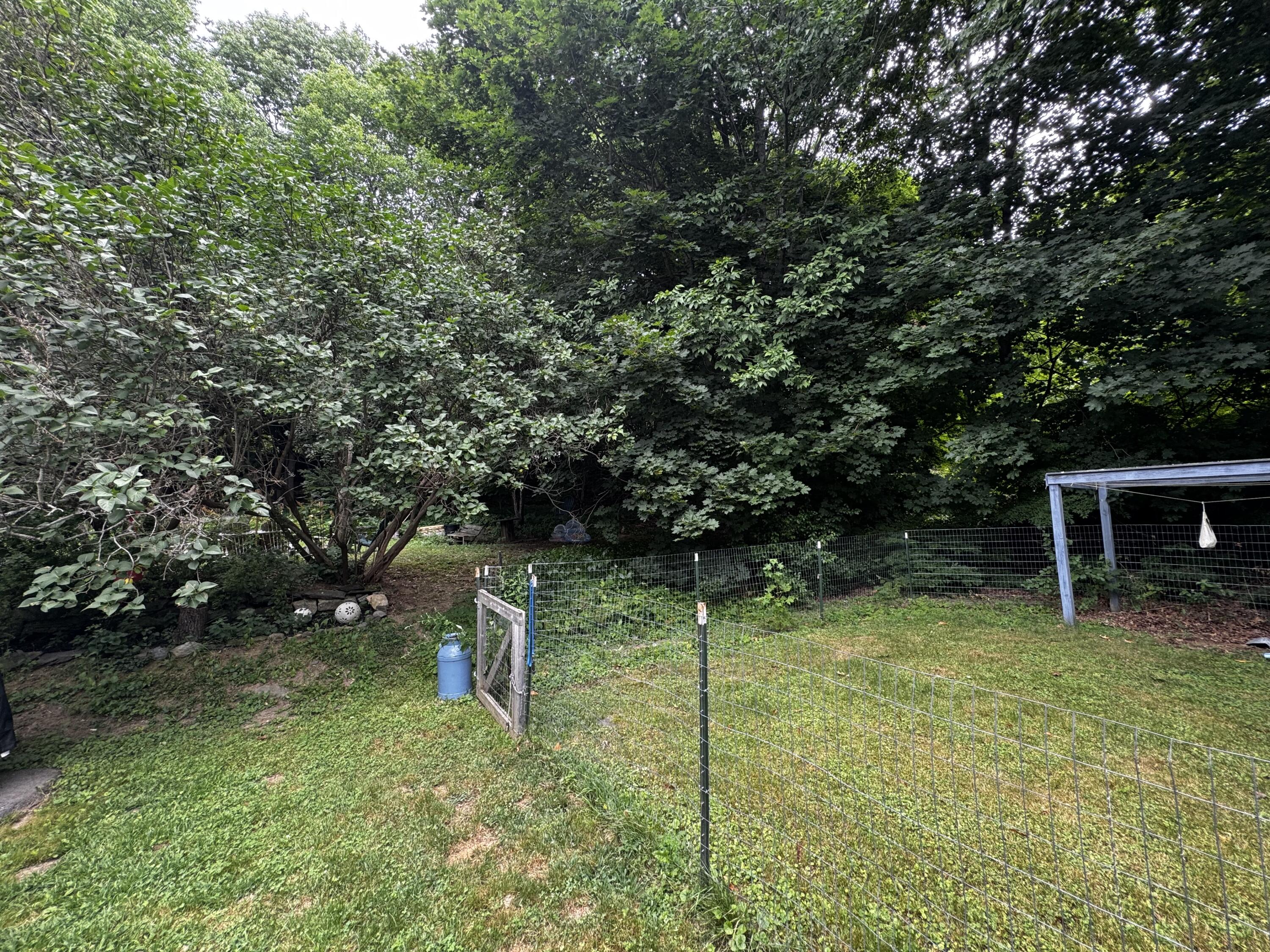 Back Yard