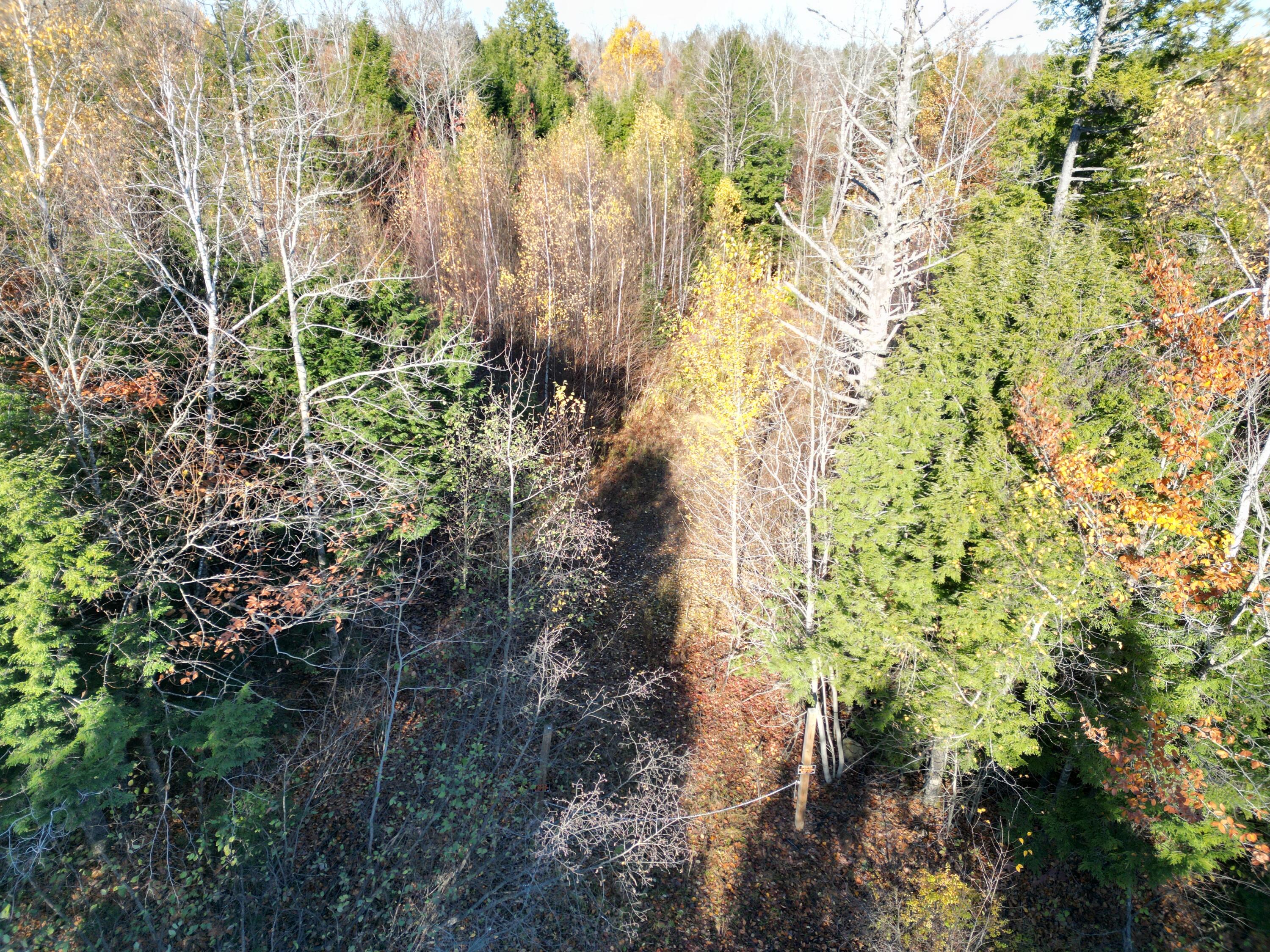 Lot 18-1 Mattamiscontis Road, Howland, ME, 04448