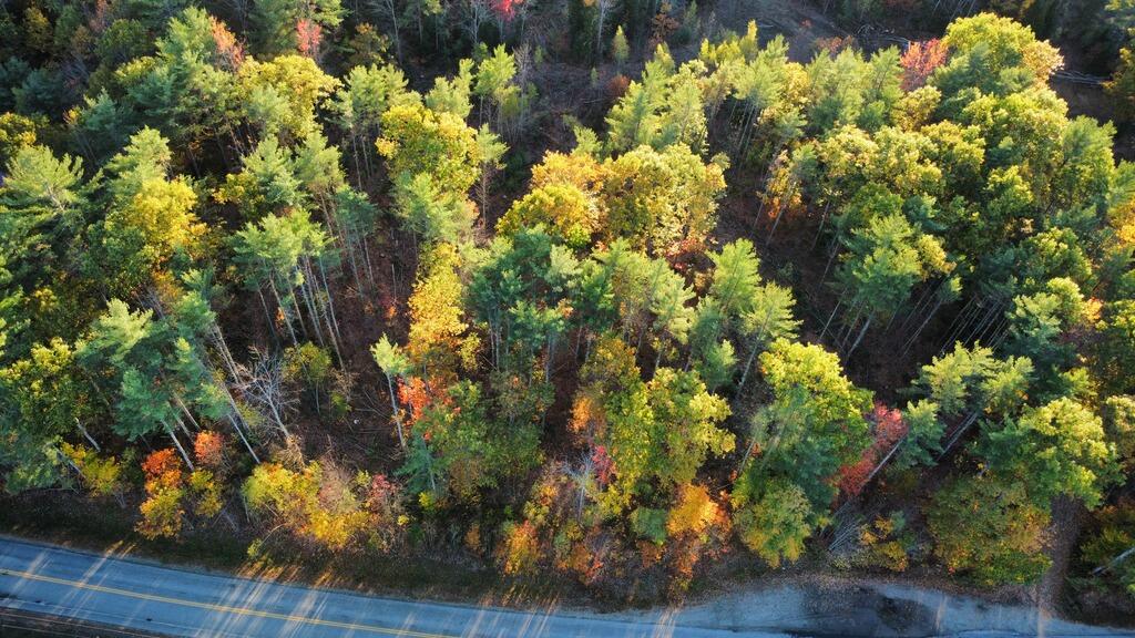Lot 16 (1) Whittier Road, Farmington, ME, 04938