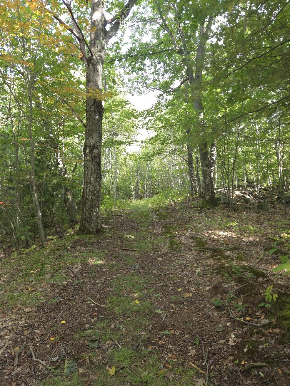 125 High Street, West Paris, ME 04289 Walking Trails on Property