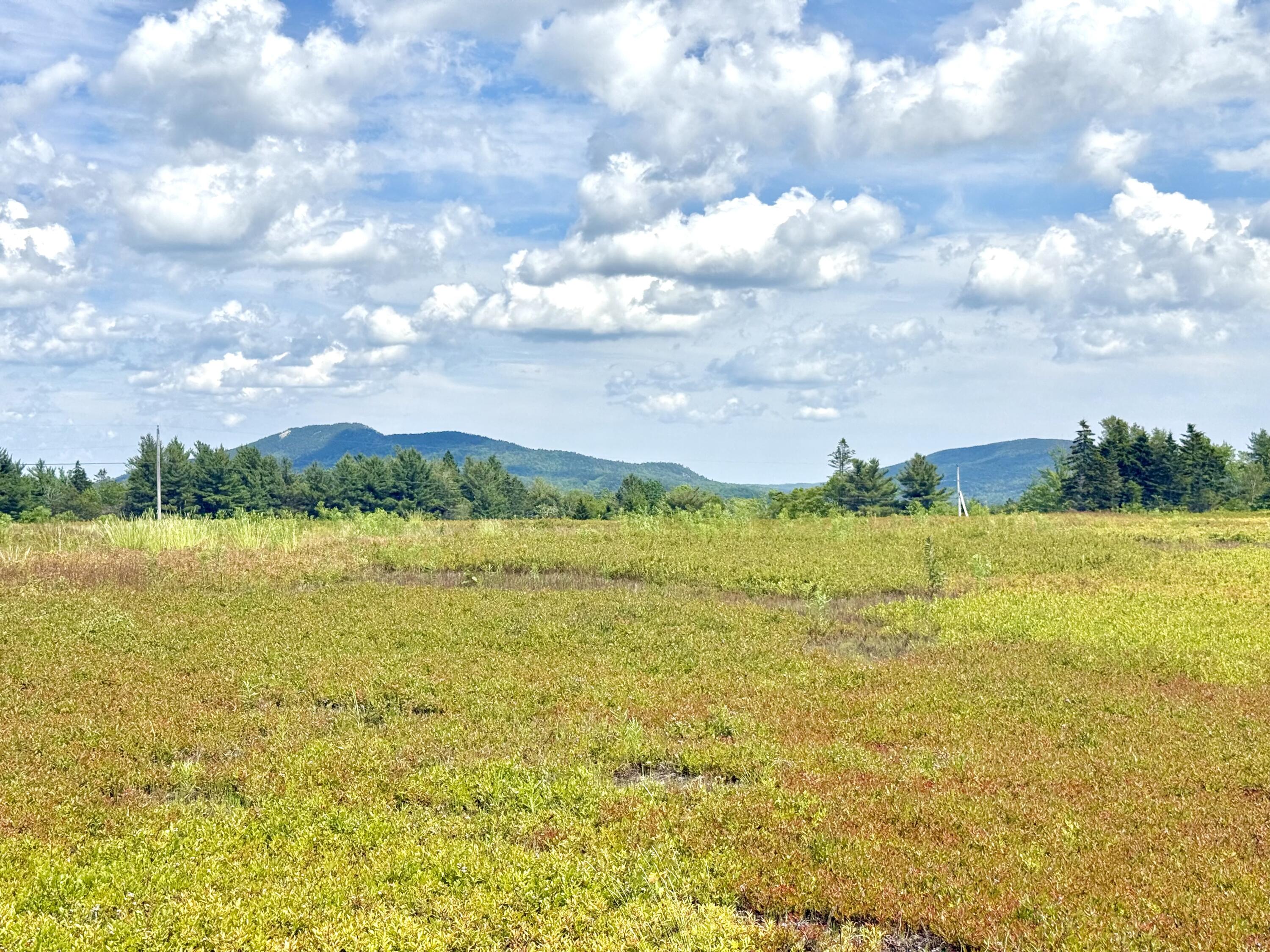 MAP13LOT11 Martins Ridge Road, Franklin, ME, 04634