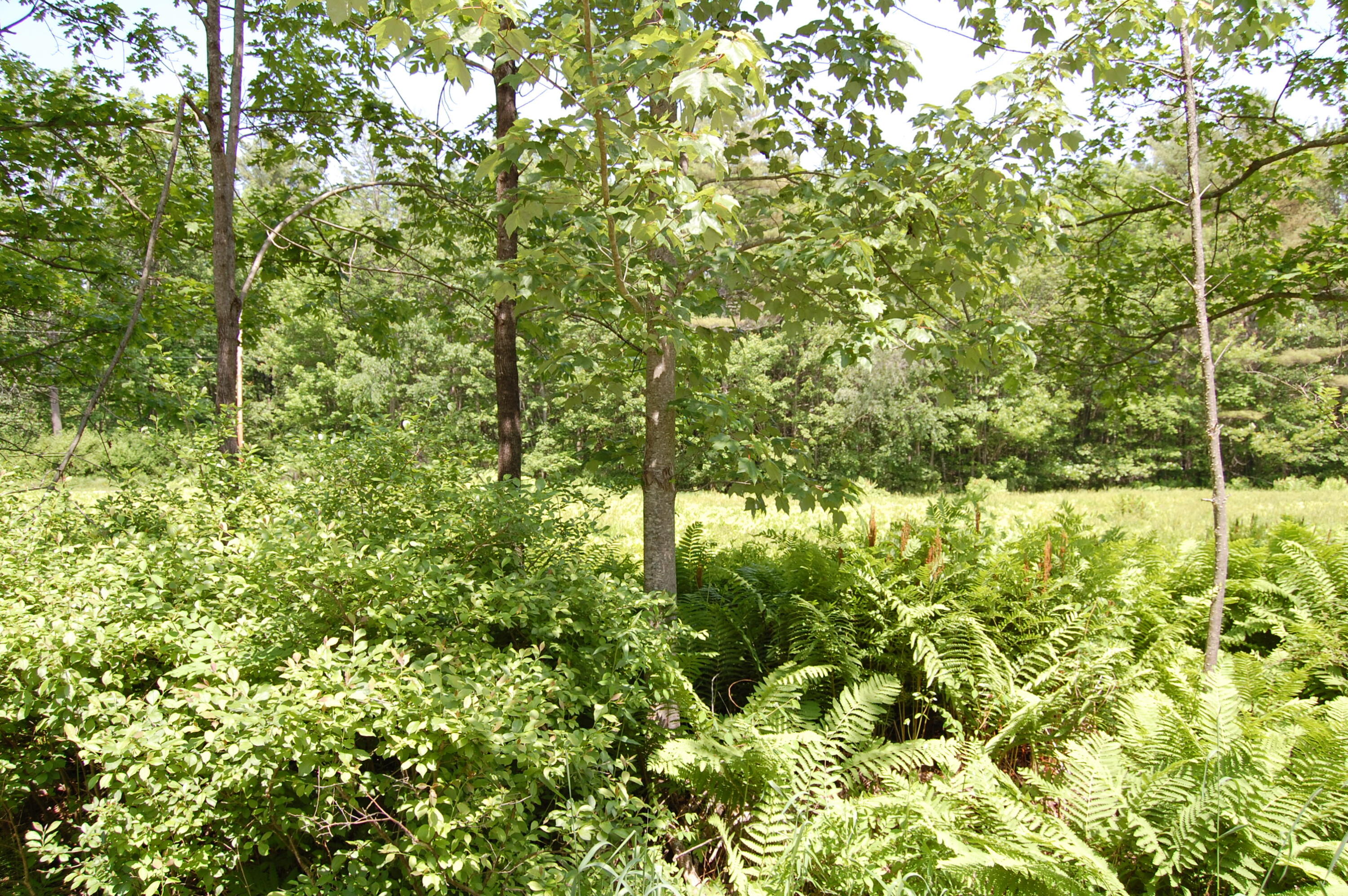 0 New Gloucester Road, North Yarmouth, ME, 04097