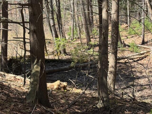 00 Brownfield Road, Hiram, ME, 04041