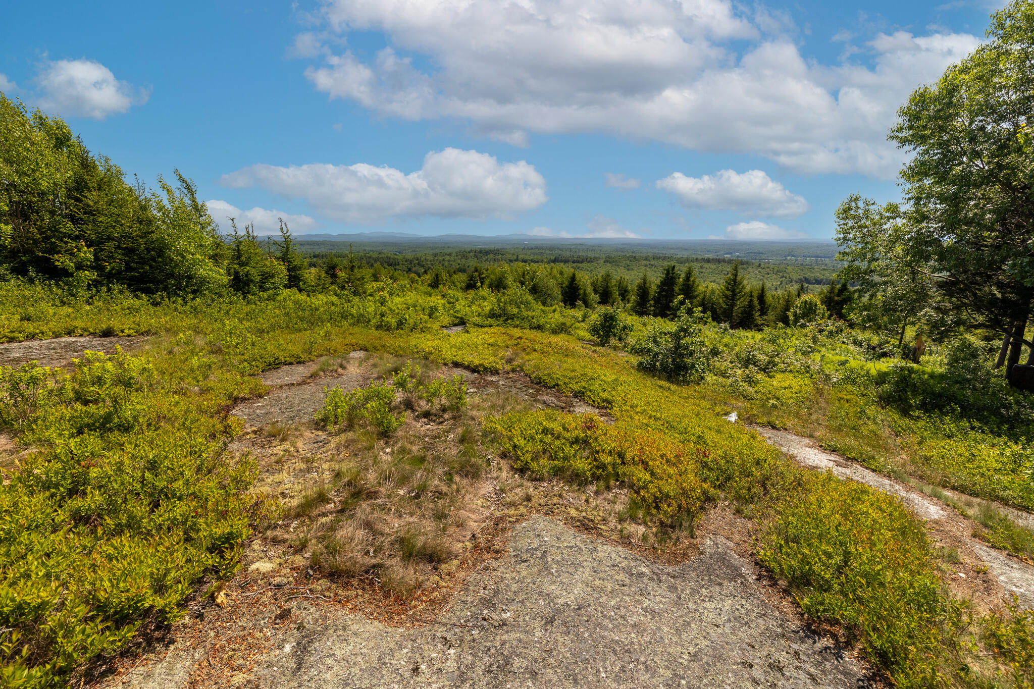 533 Mount Ephraim Map 4 Lot 63 Road, Searsport, ME, 04974