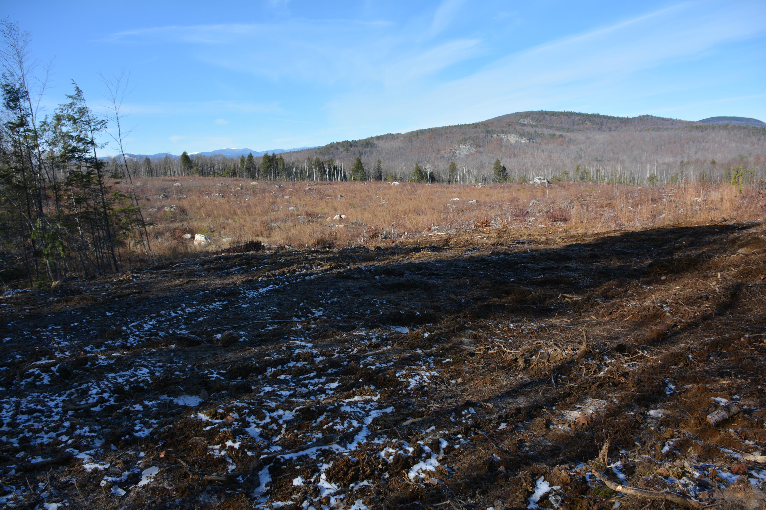 0 French Hill Road, Albany Twp, ME, 04217
