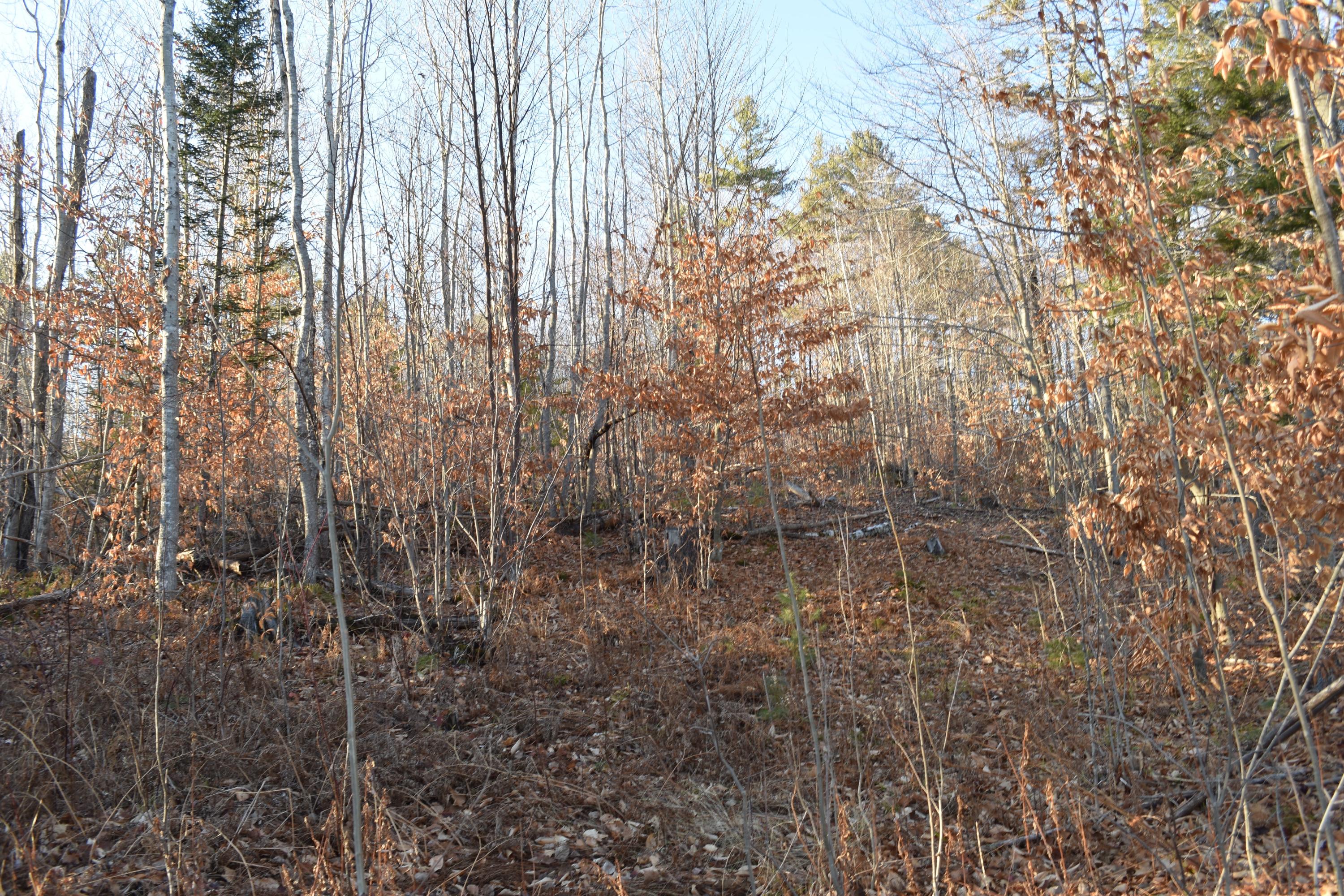 00 Chapman Hill Rd., Bethel, ME, 04217