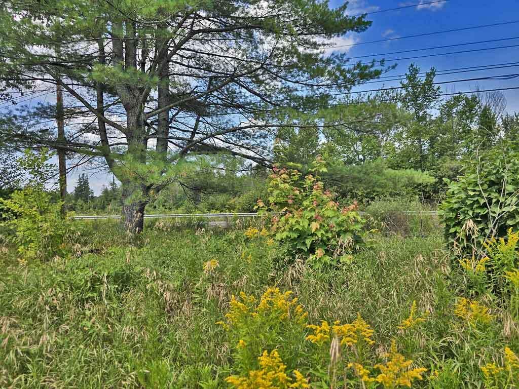 1020 County Road, New Limerick, ME, 04761