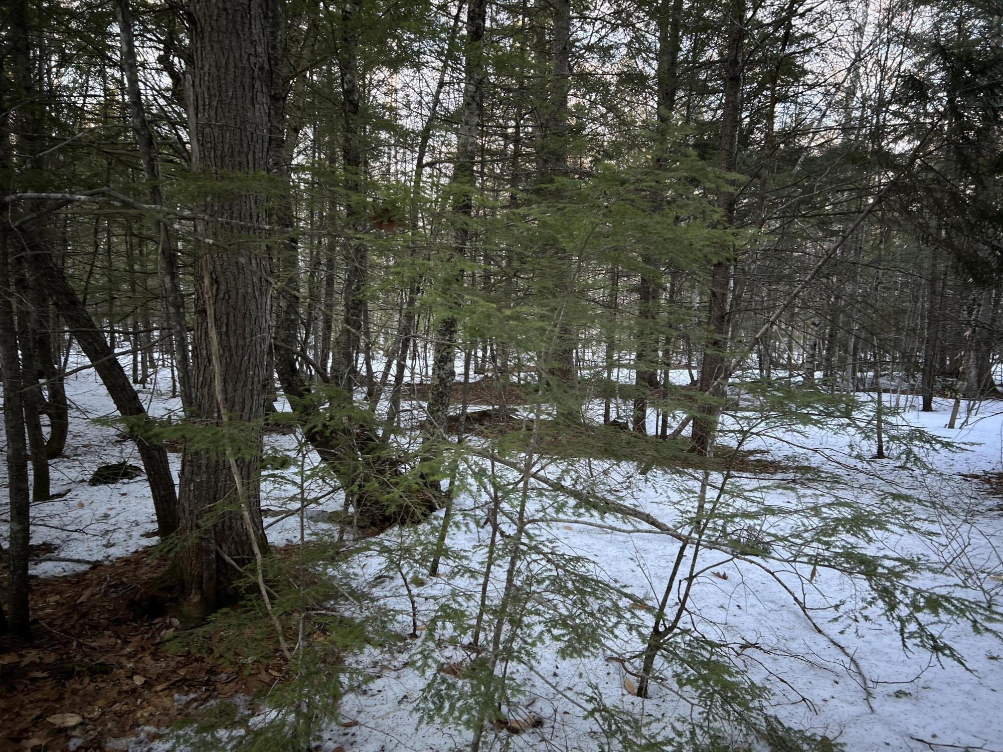 Map13Lot11 Field View Road, Fryeburg, ME, 04037
