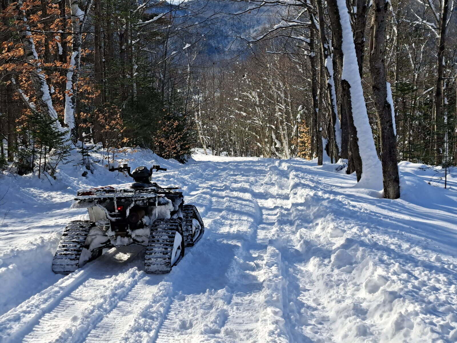 019 BEAR Lane, Rumford, ME, 04276