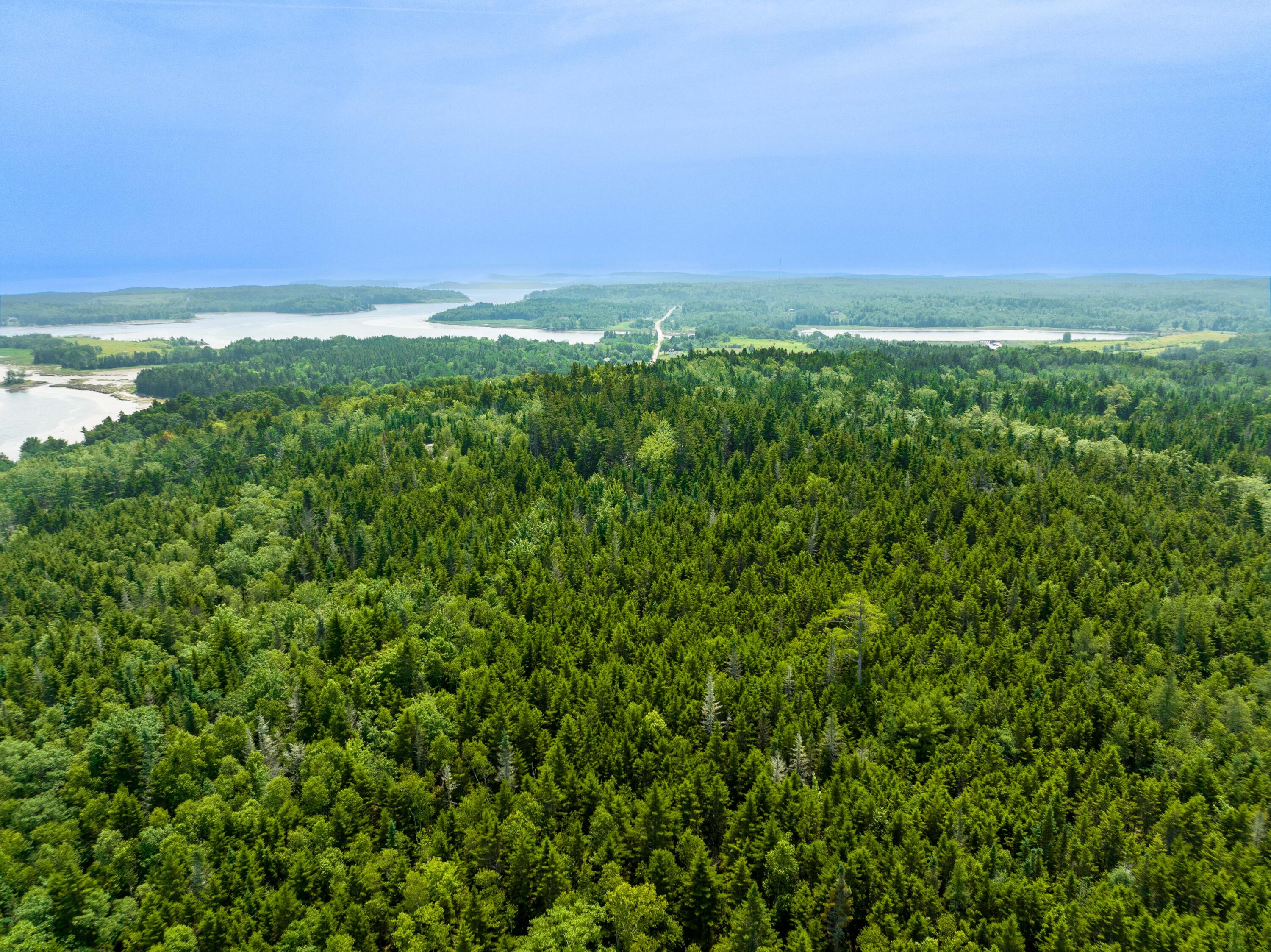 65 Lookout Mountain Road, East Machias, ME, 04630