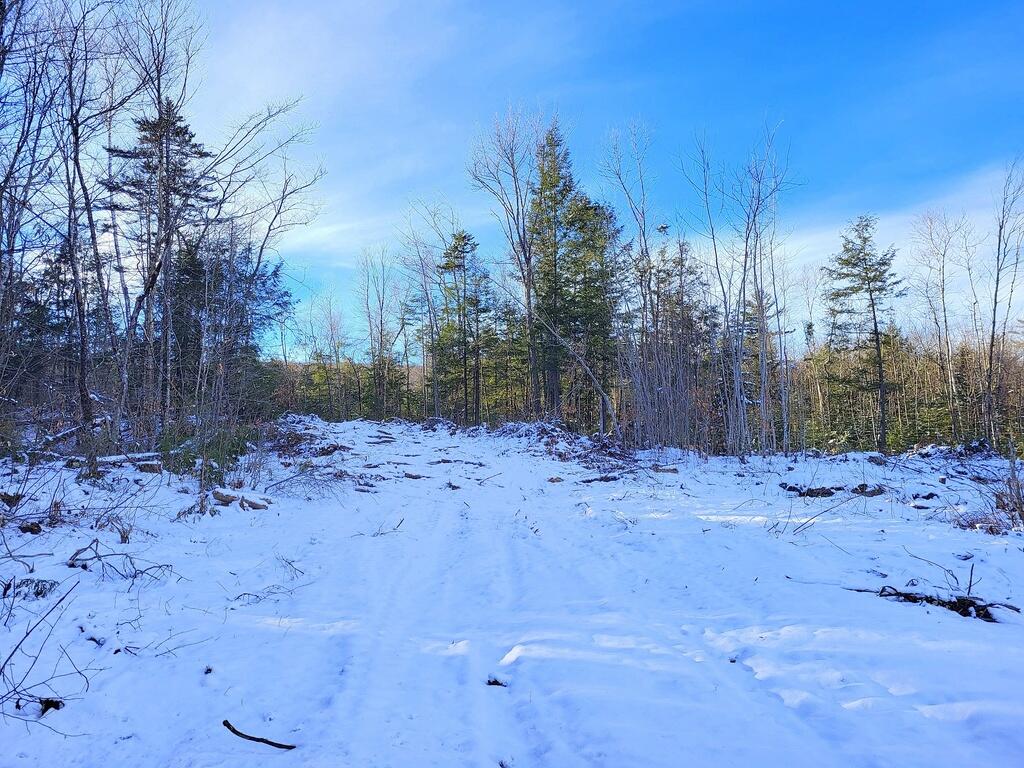 Lot 62.2 Reeds Mill Road, Madrid Twp, ME, 04966