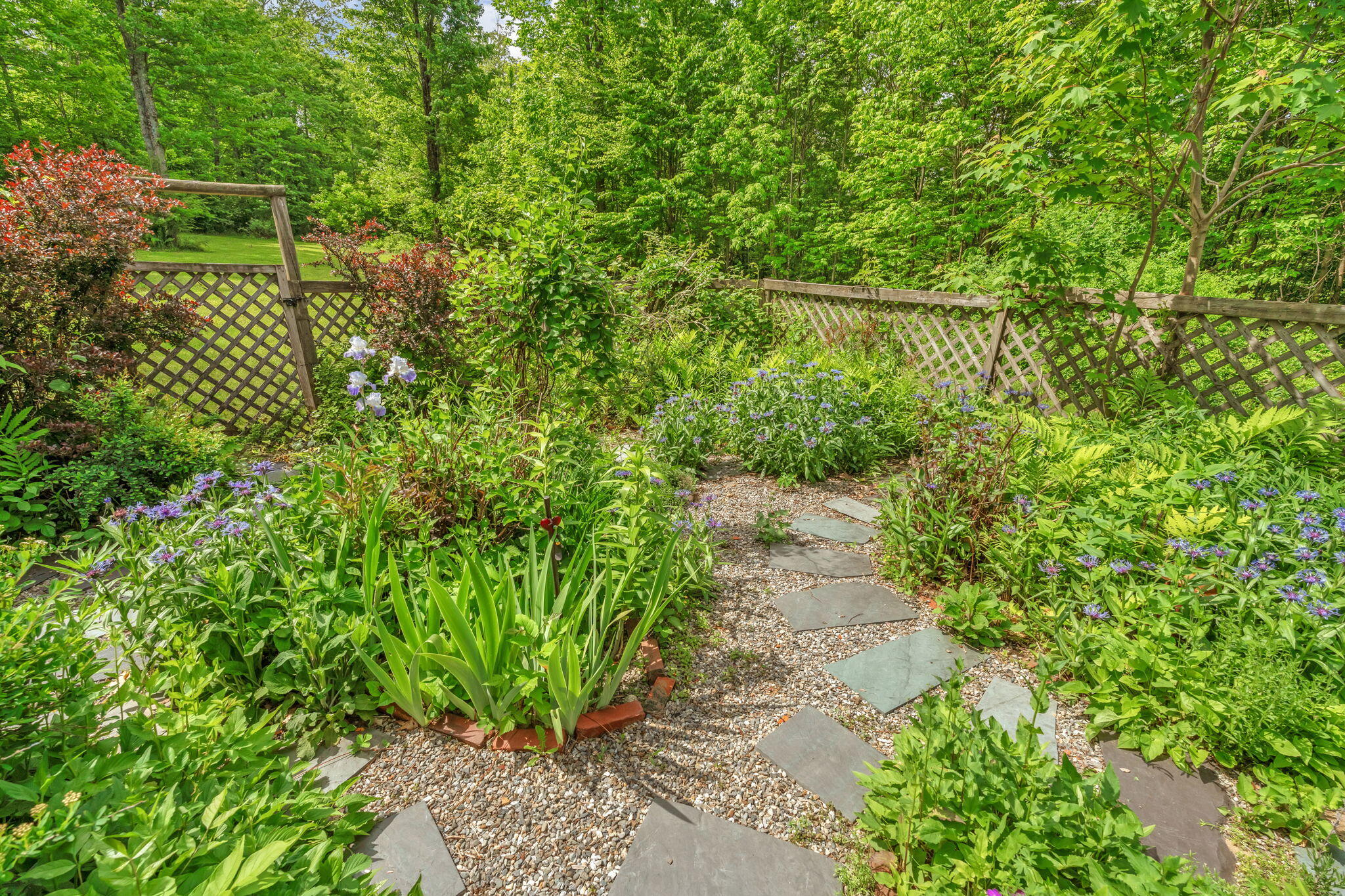 28-web-or-mls-15-raspberry-rd