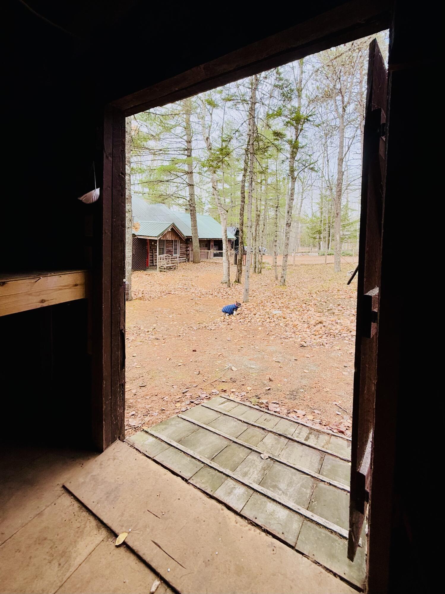 8 Cove Road, Grand Lake Stream Plt, ME, 04668