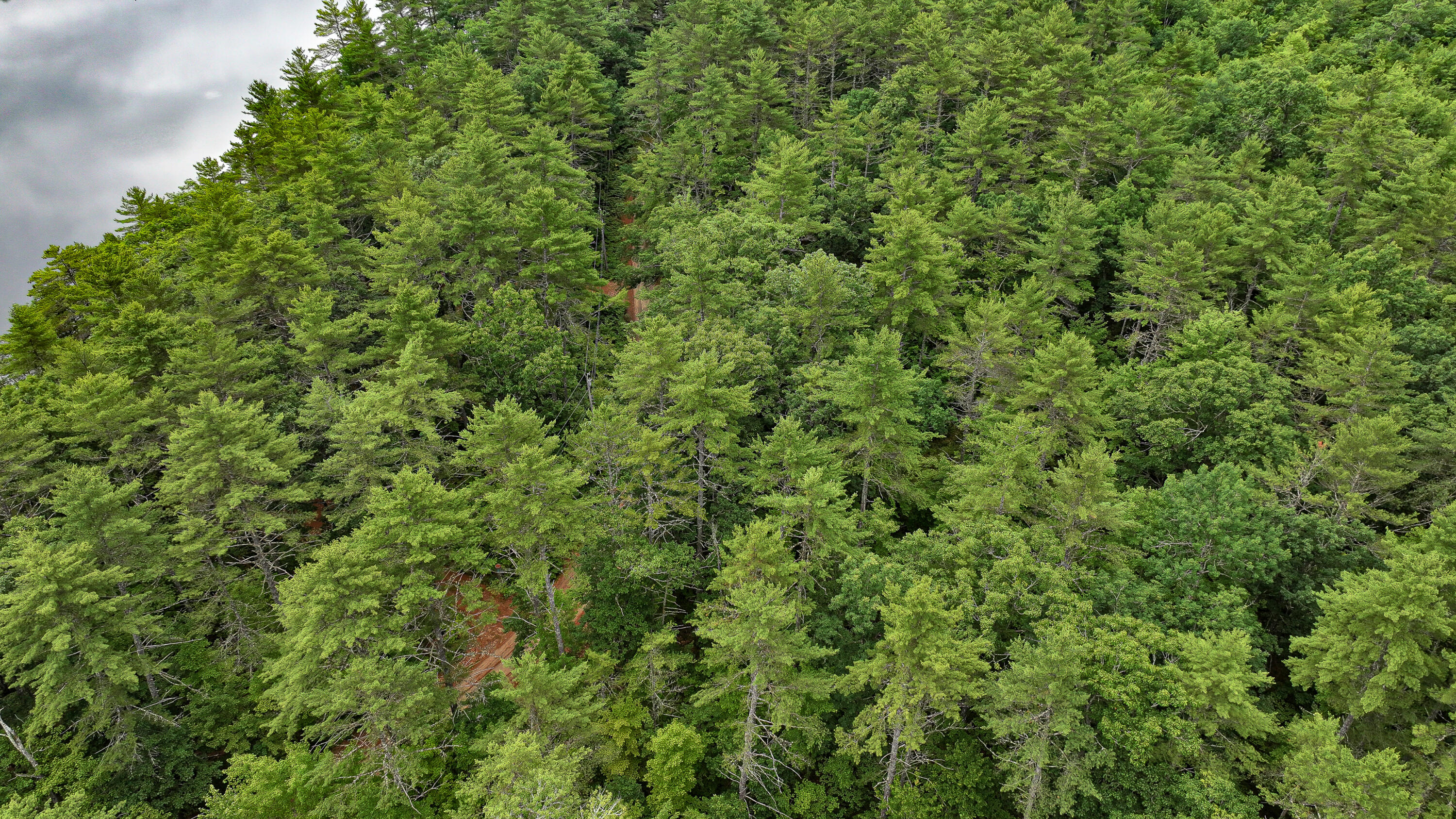 62-B Long Pond Drive, Denmark, ME, 04022