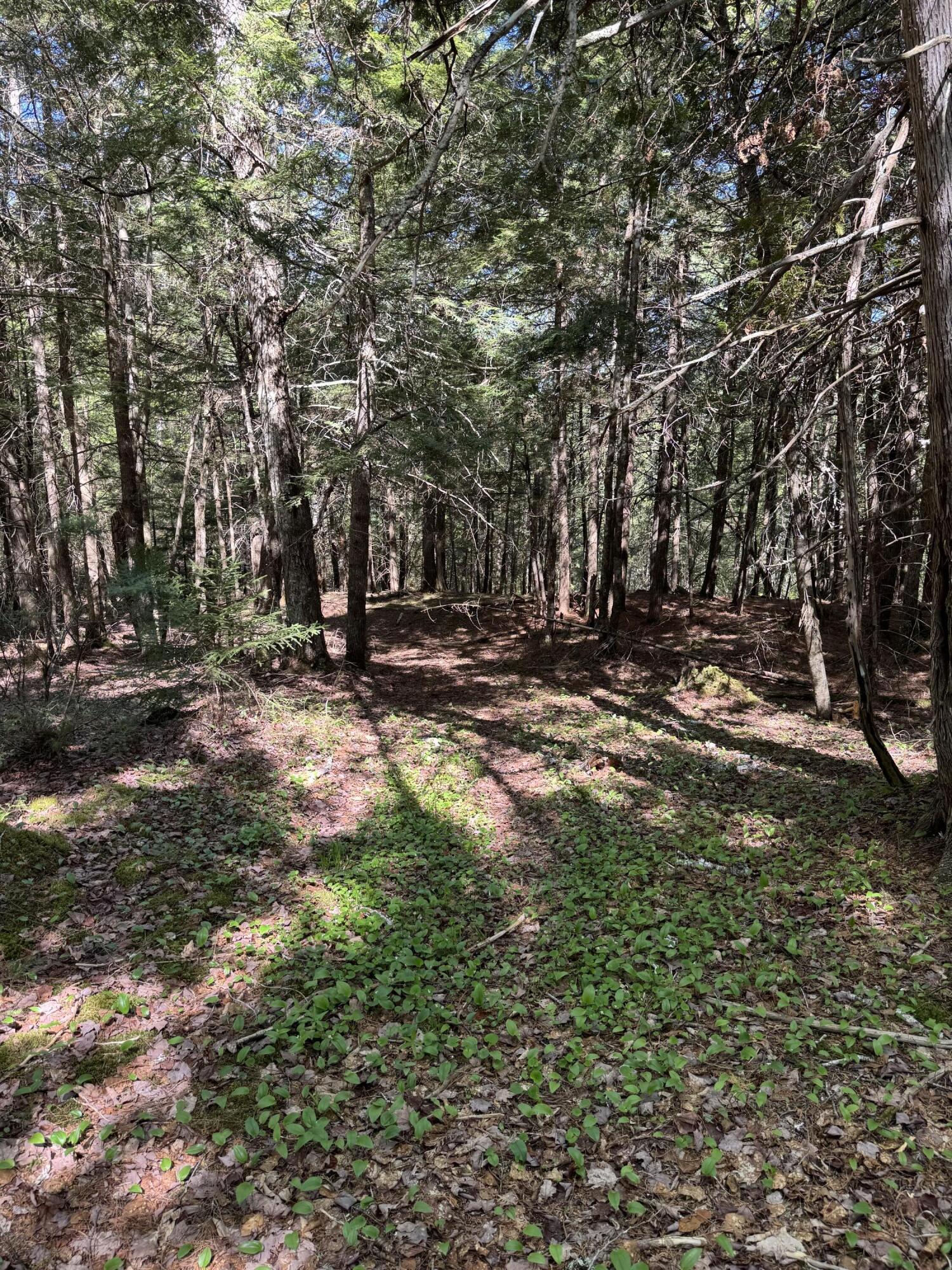 property-listing-images