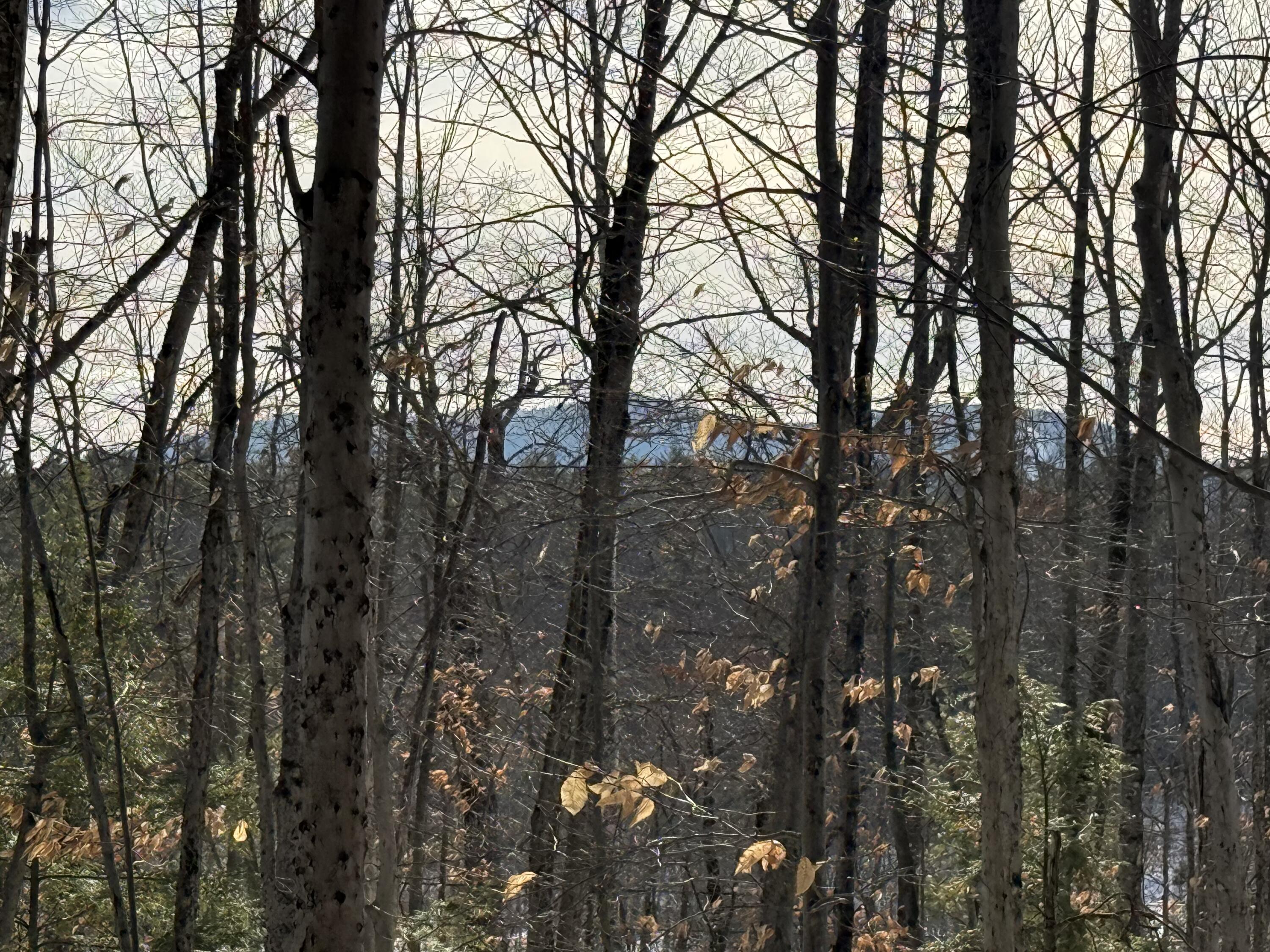 Lot 15-3B Sweden Road, Bridgton, ME, 04009